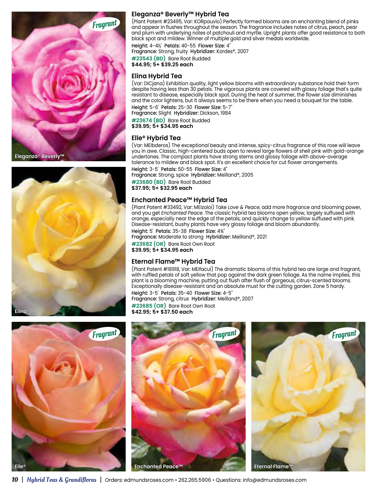 Flyer page 10