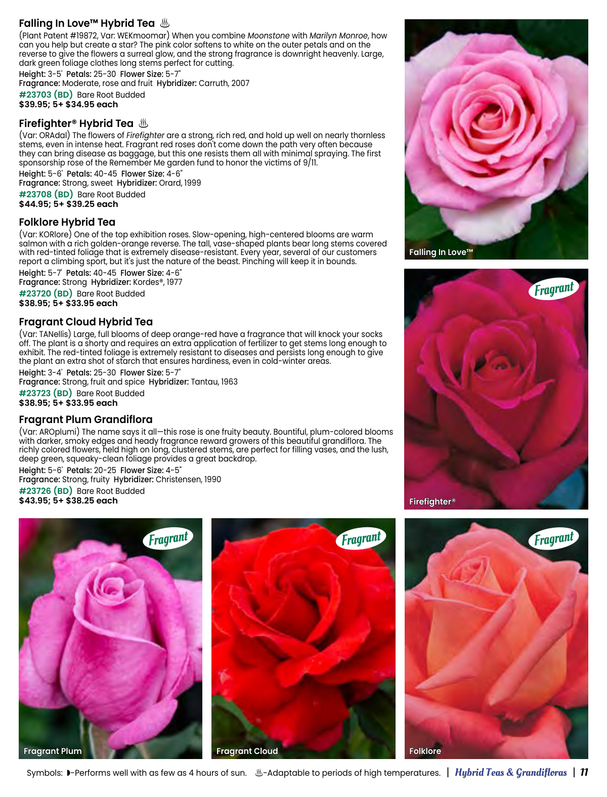Flyer page 11