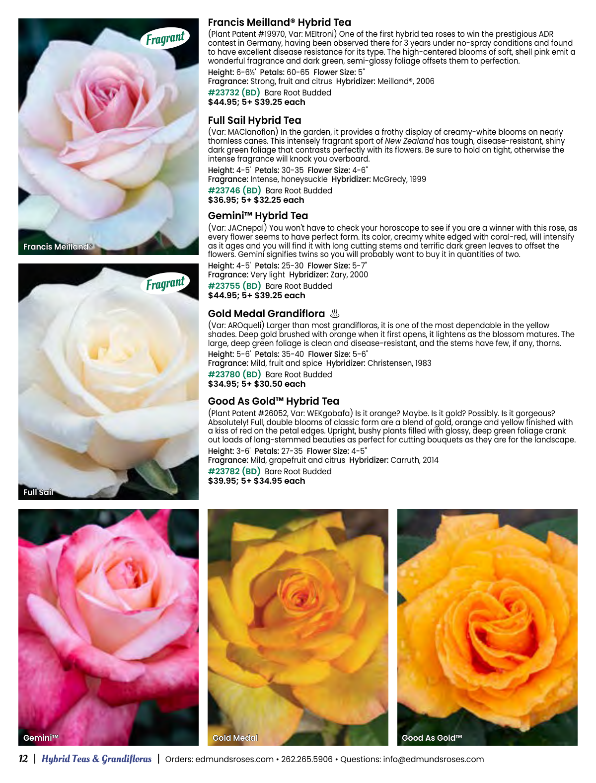 Flyer page 12