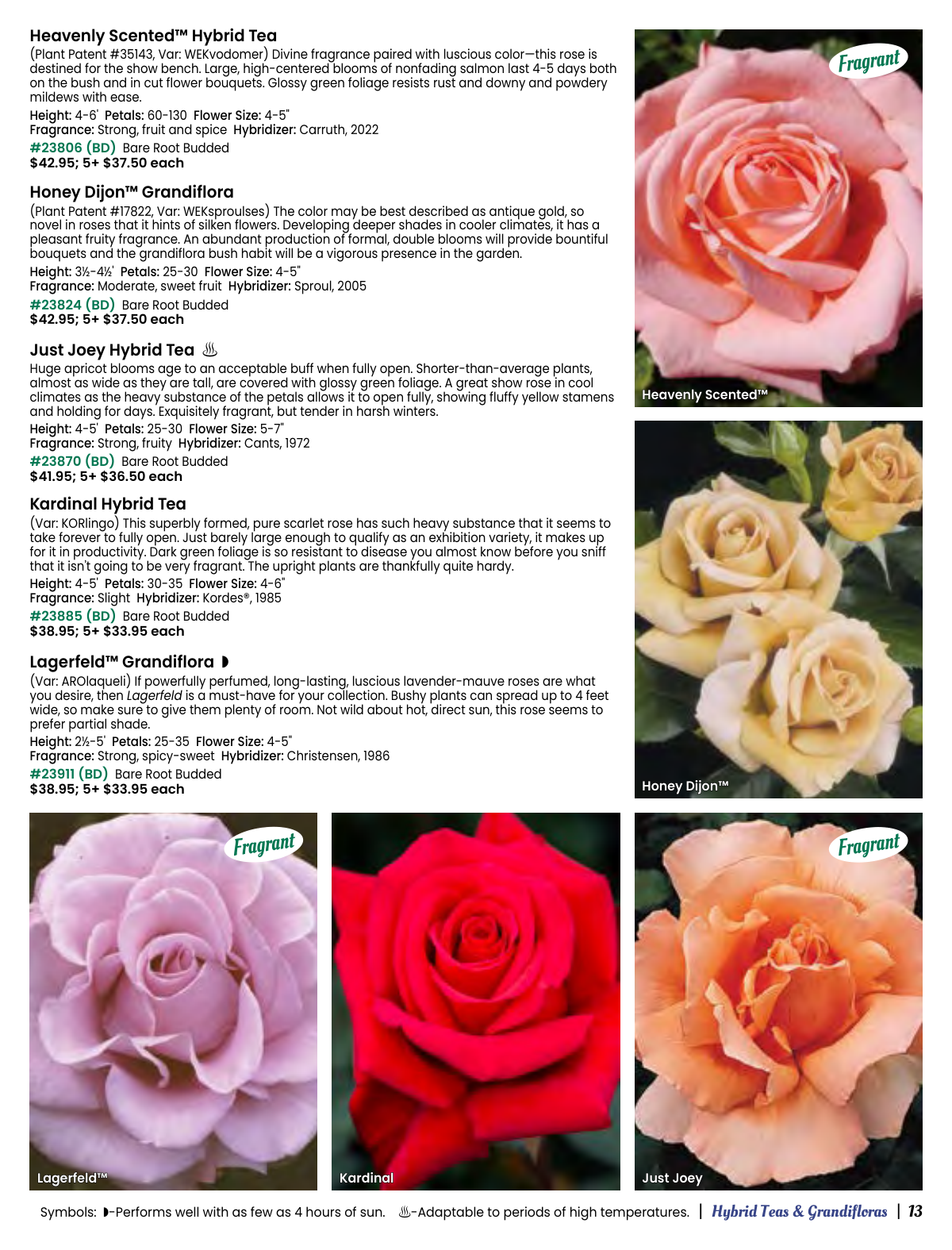 Flyer page 13