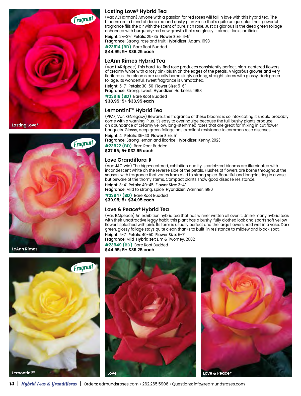 Flyer page 14