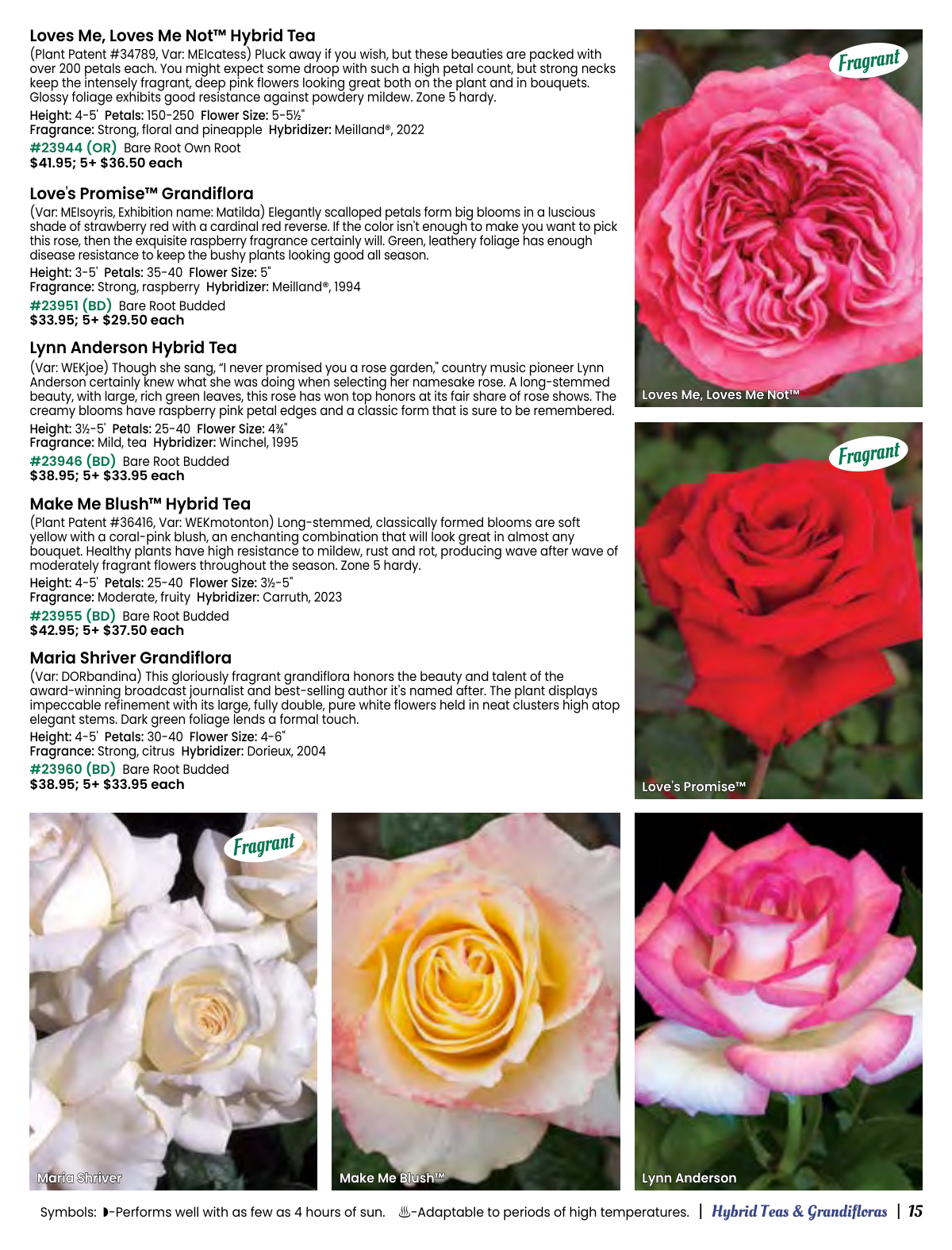 Flyer page 15