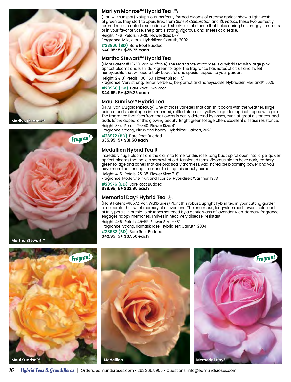 Flyer page 16