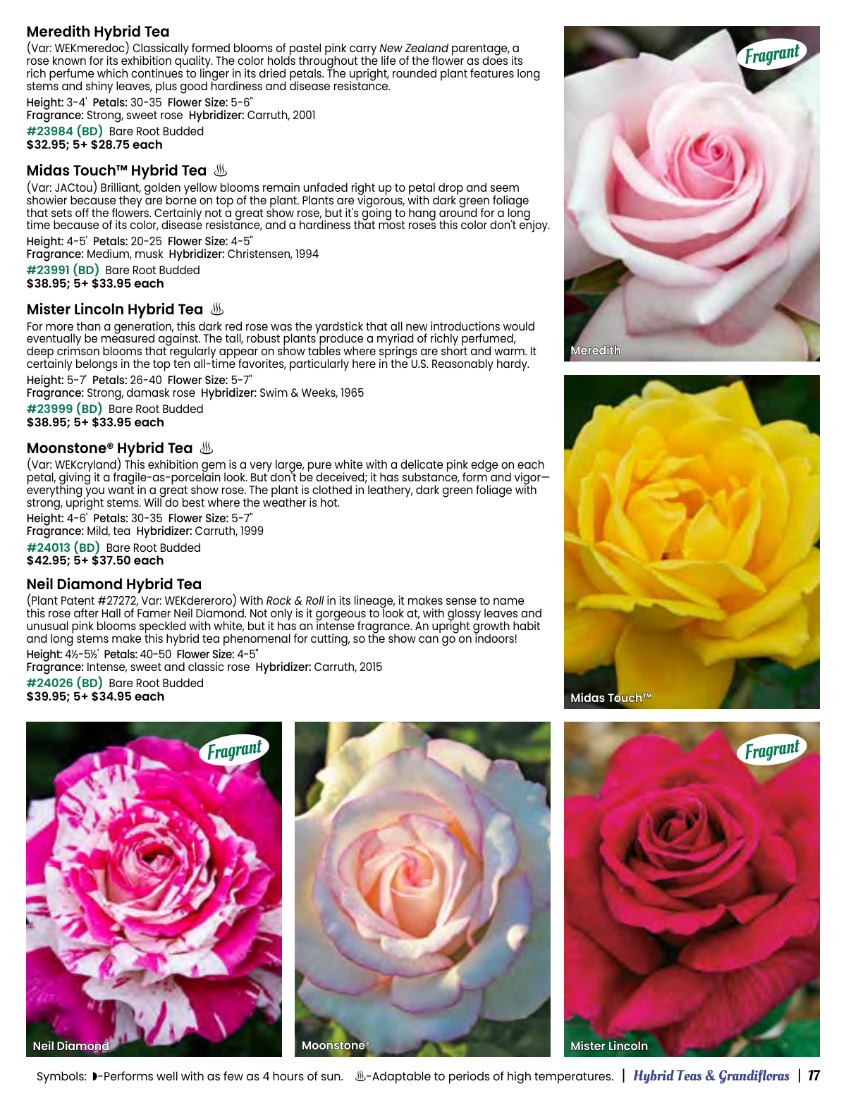 Flyer page 17