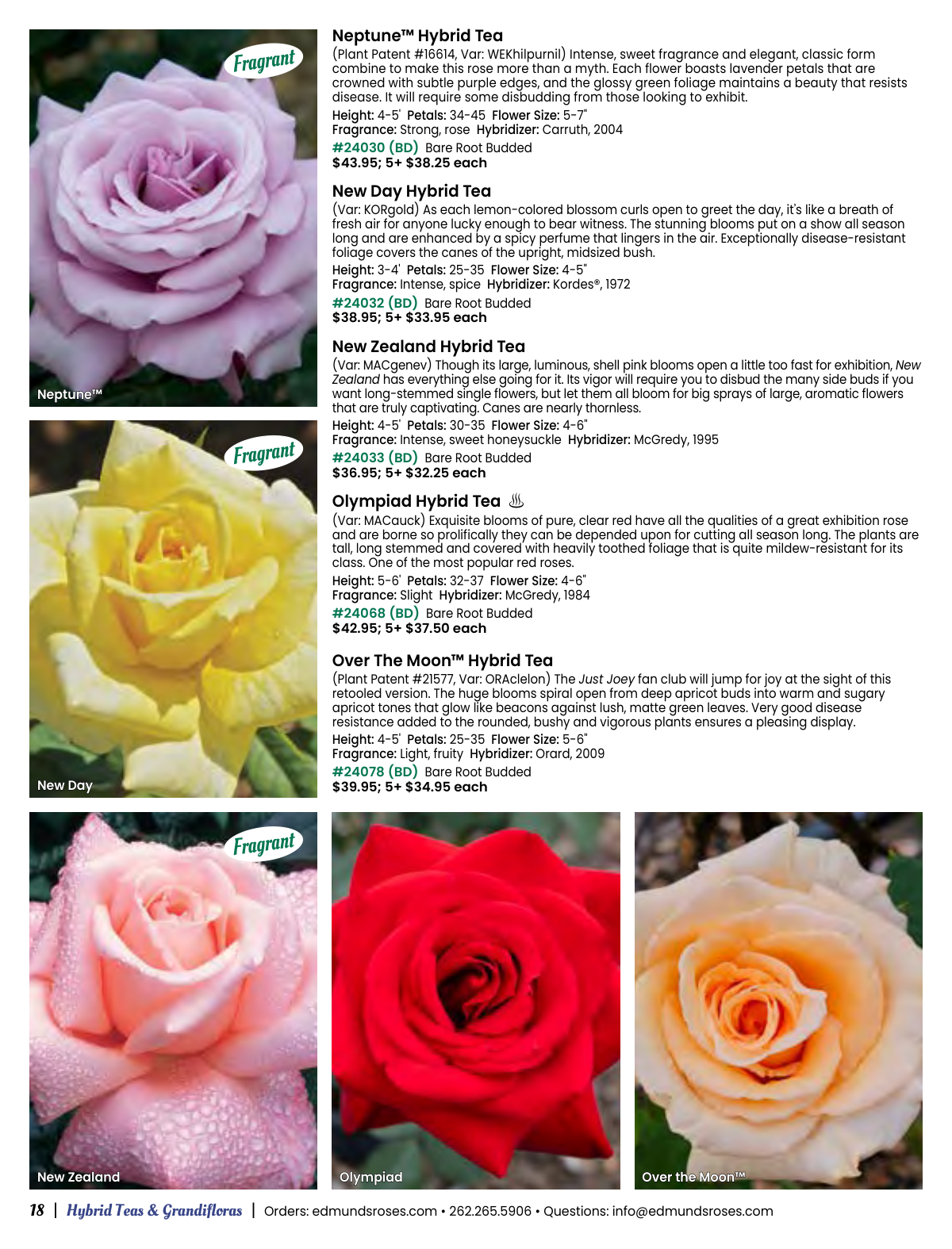 Flyer page 18