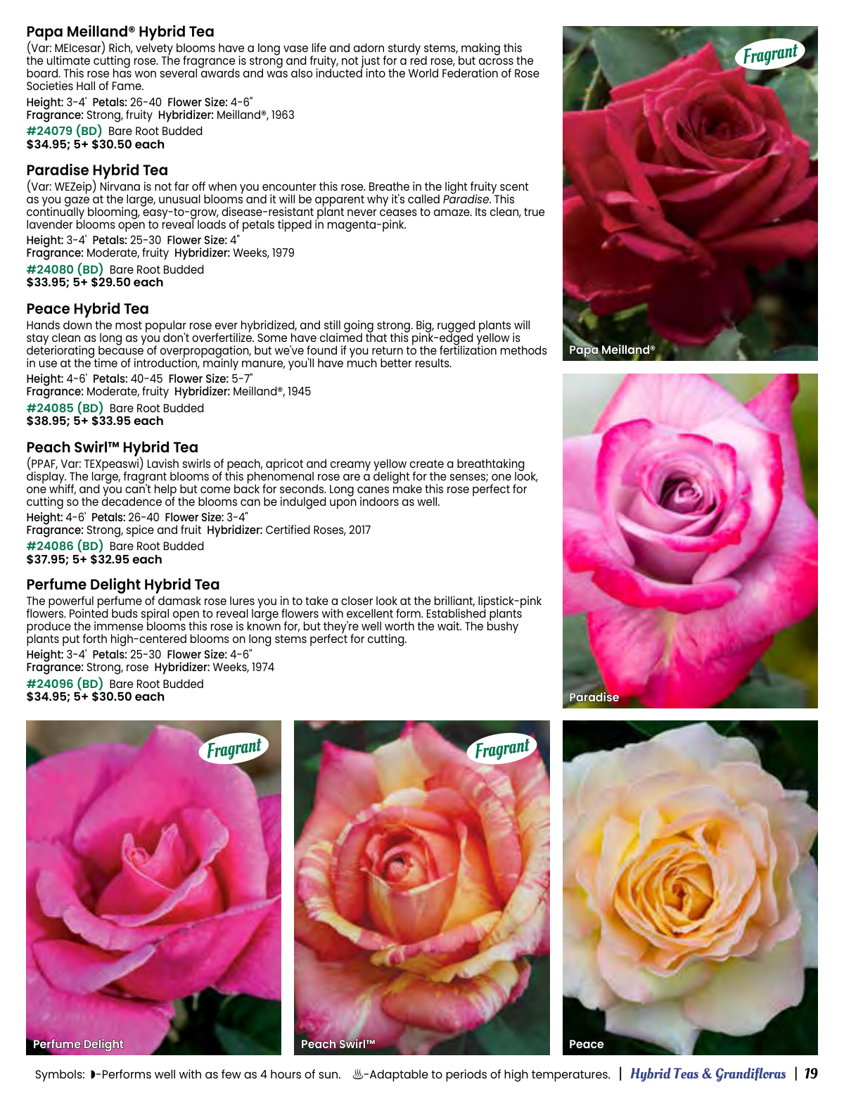 Flyer page 19