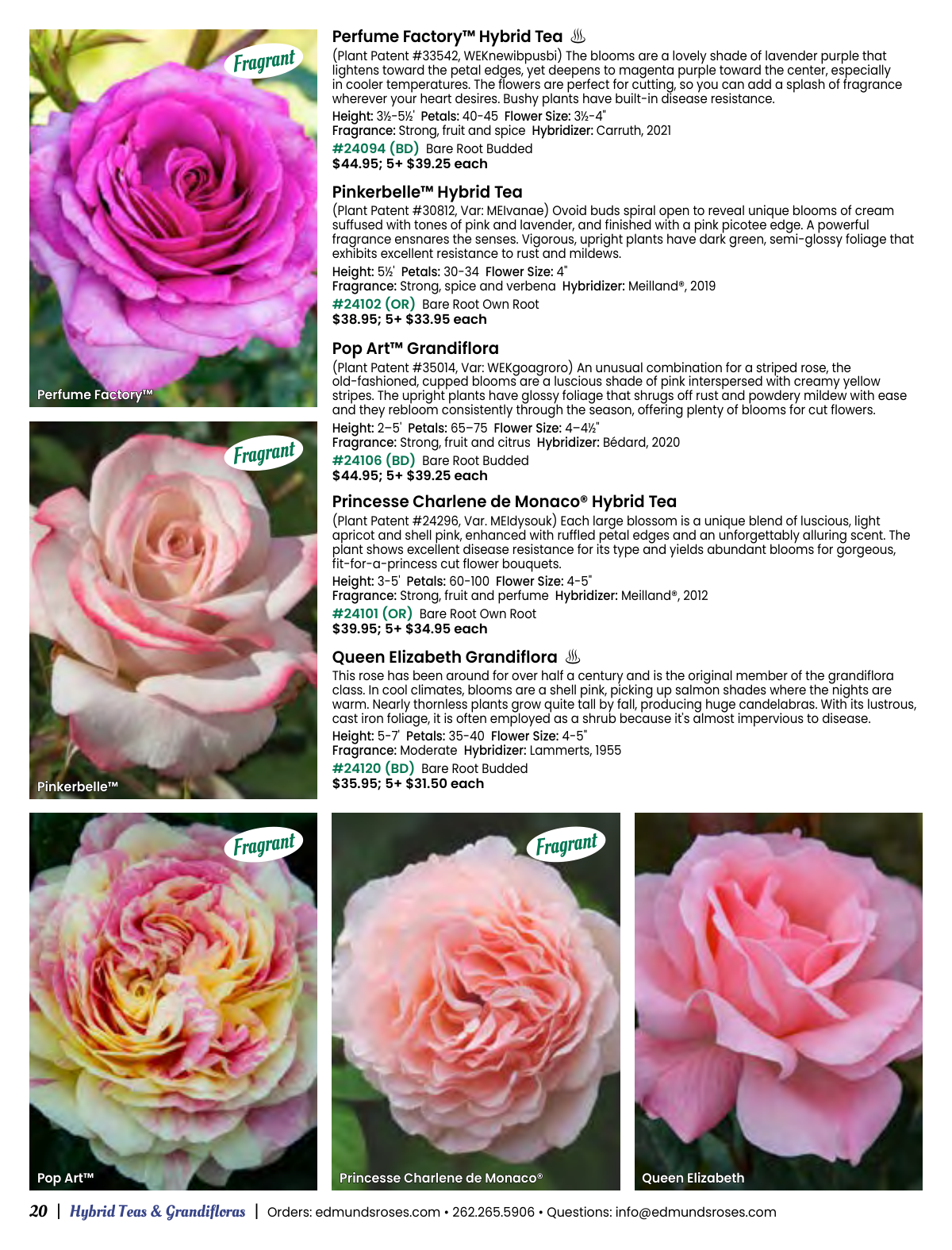 Flyer page 20