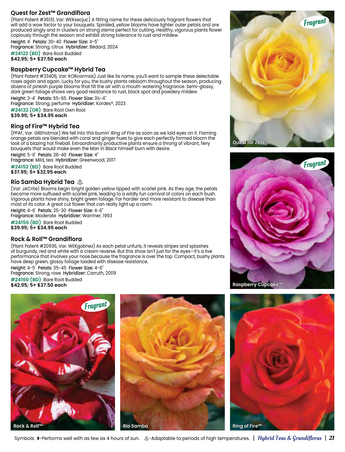 Flyer page 21