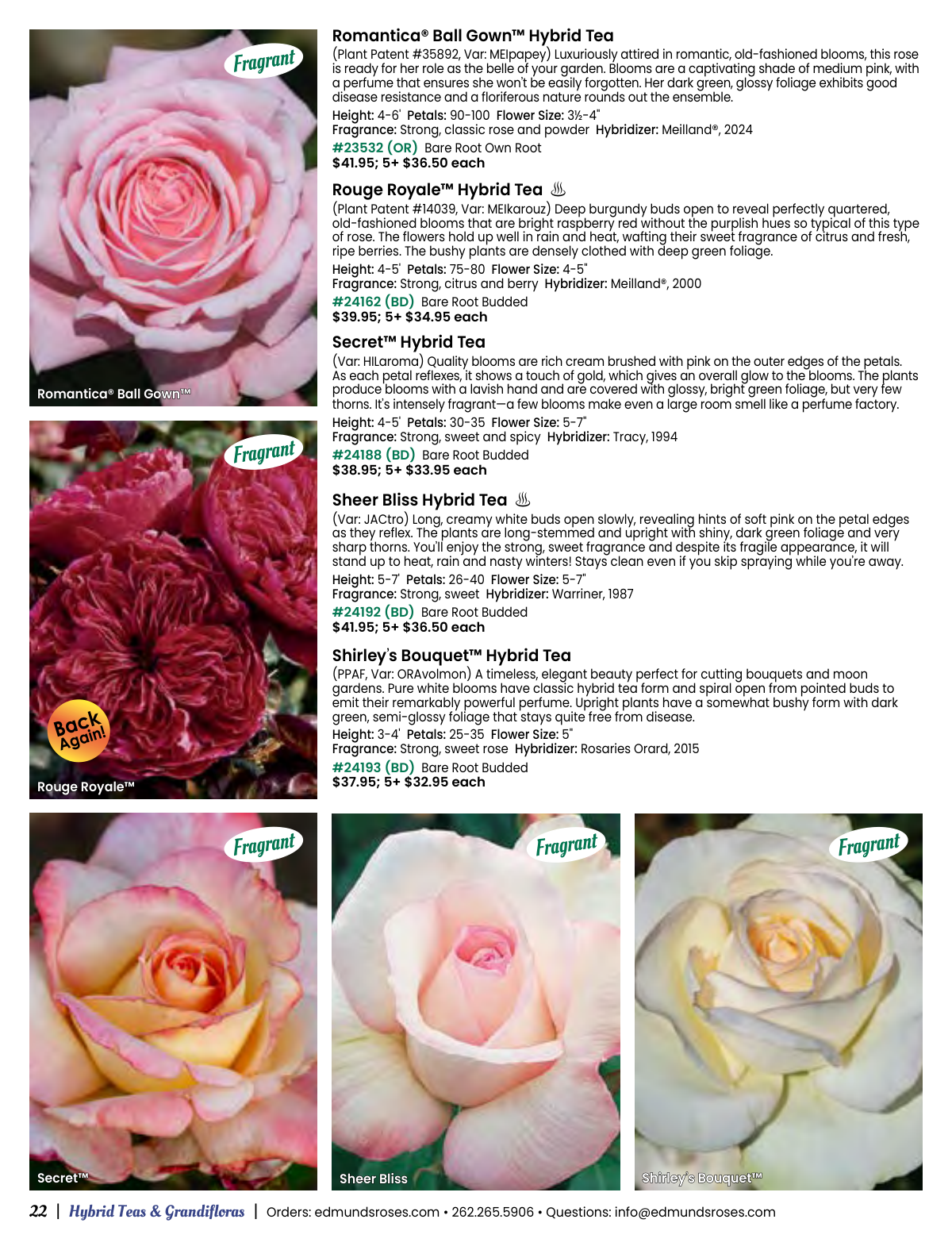 Flyer page 22