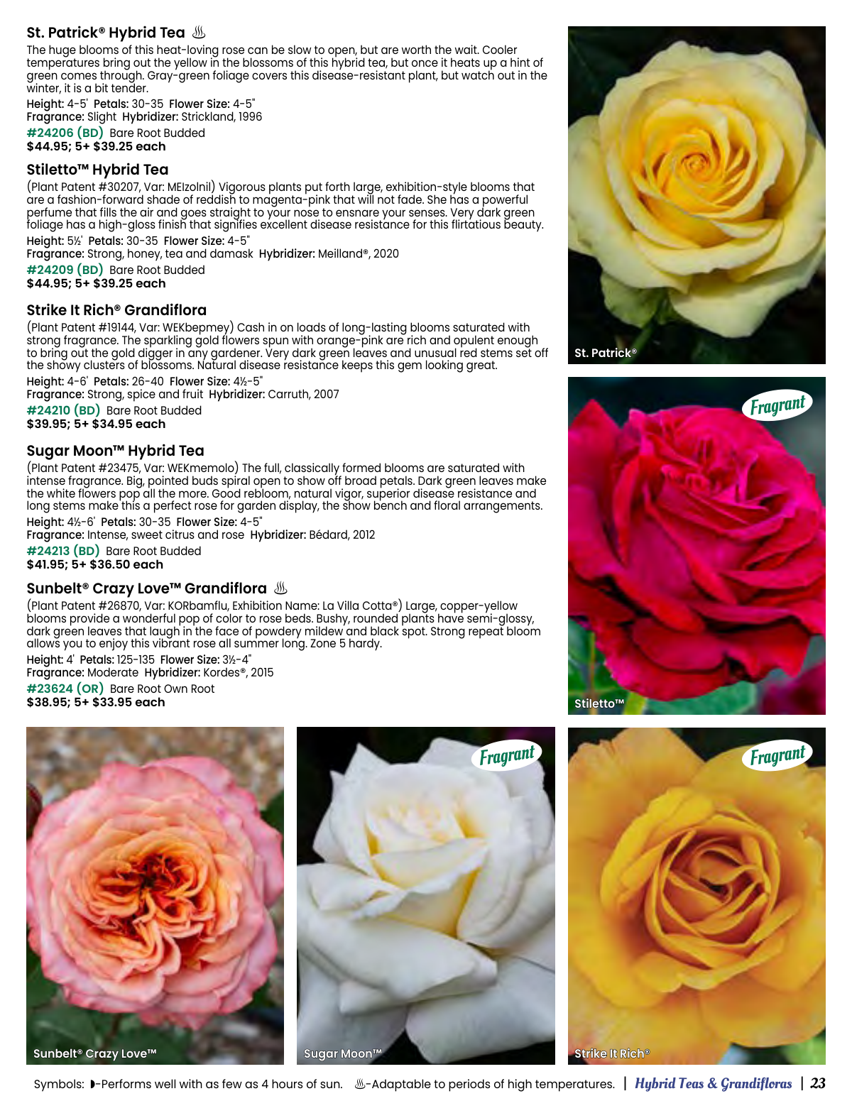 Flyer page 23