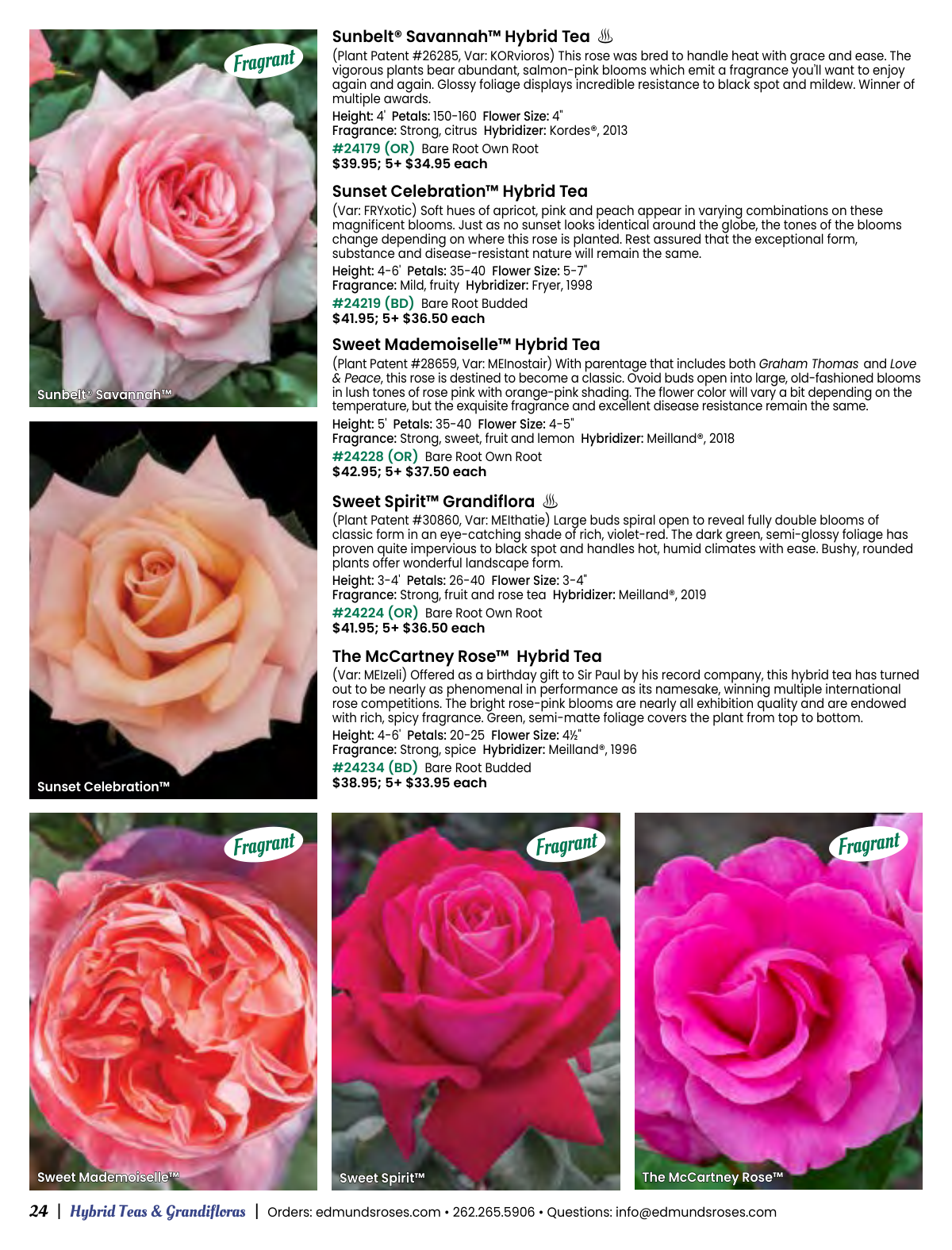 Flyer page 24