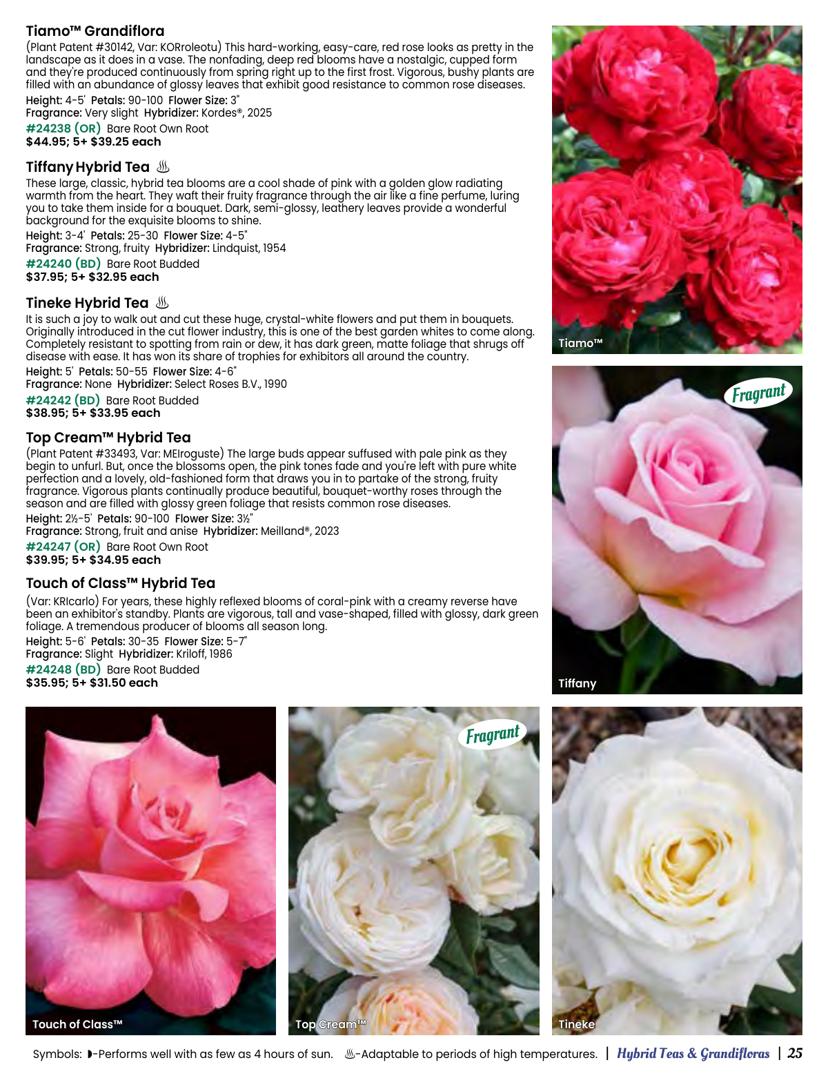 Flyer page 25
