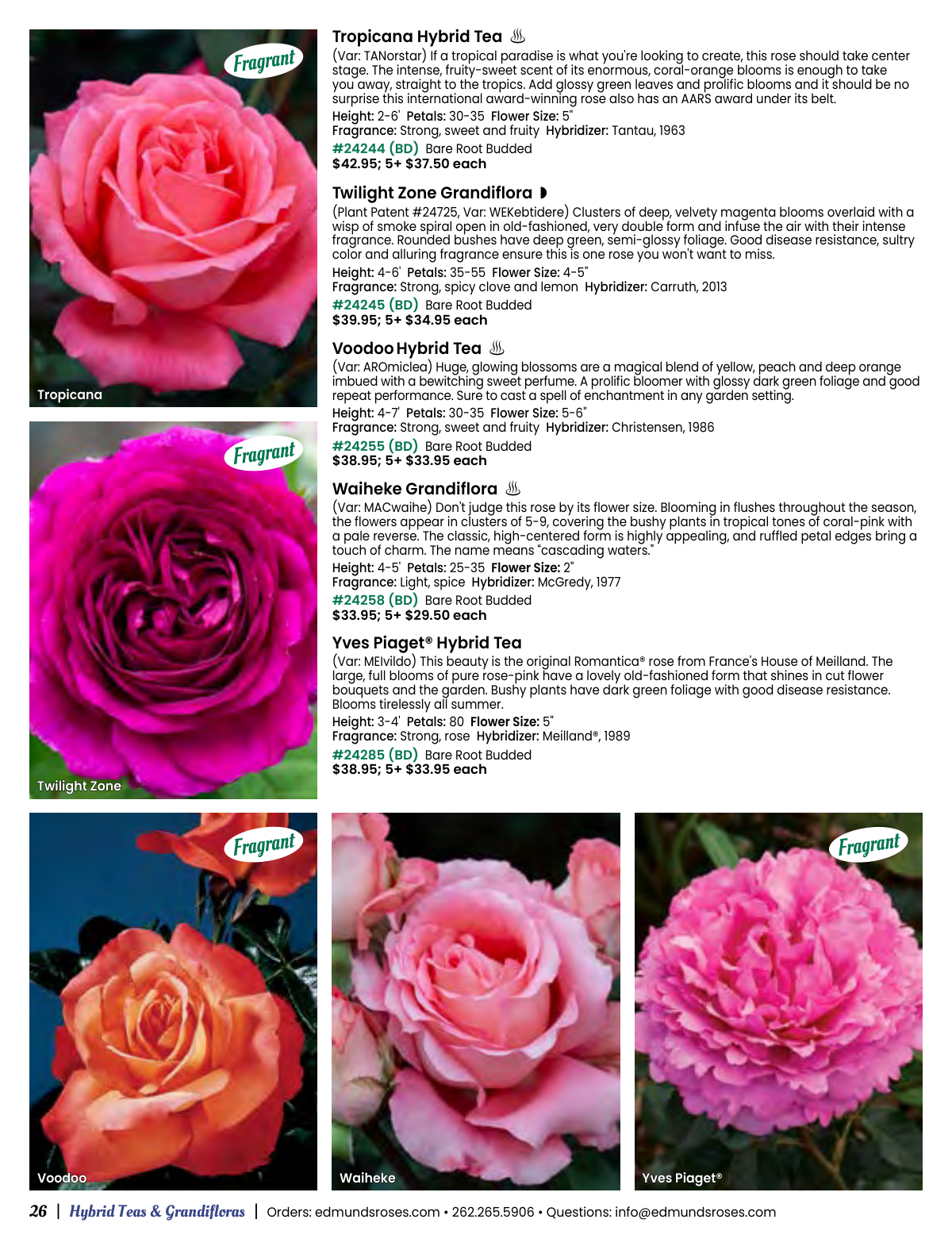 Flyer page 26