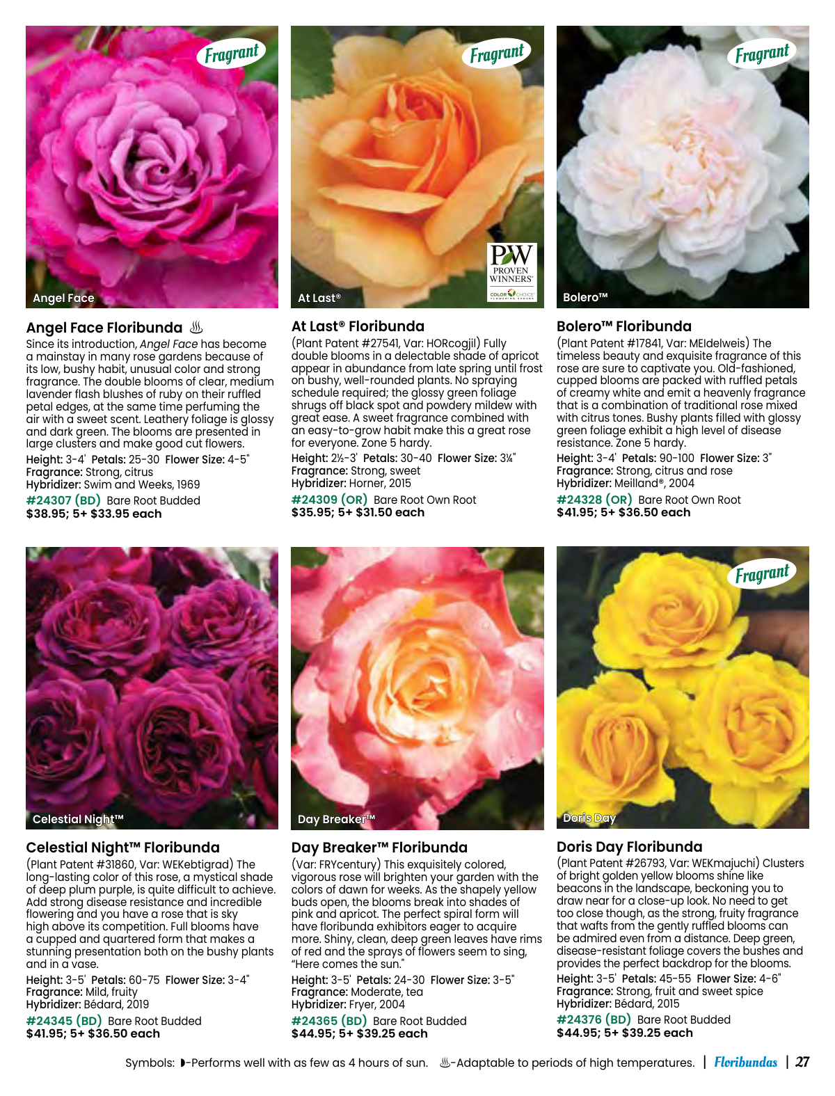 Flyer page 27