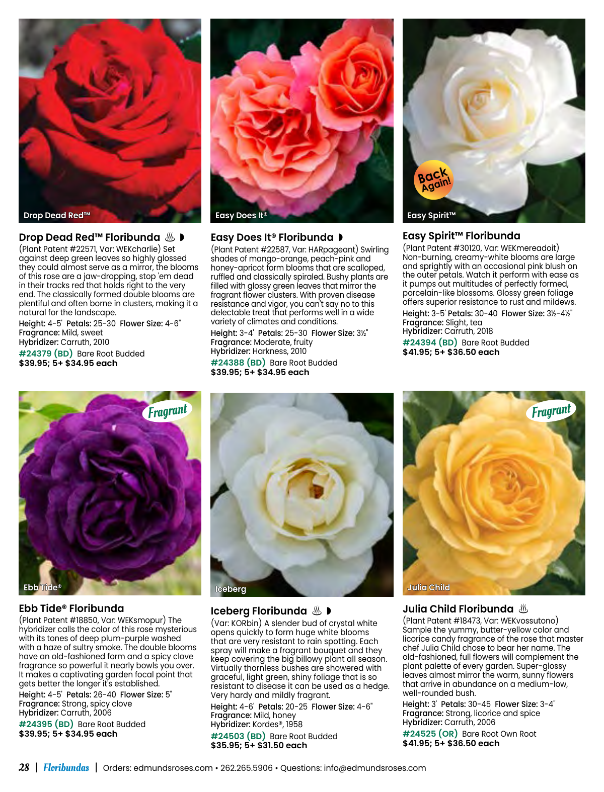 Flyer page 28