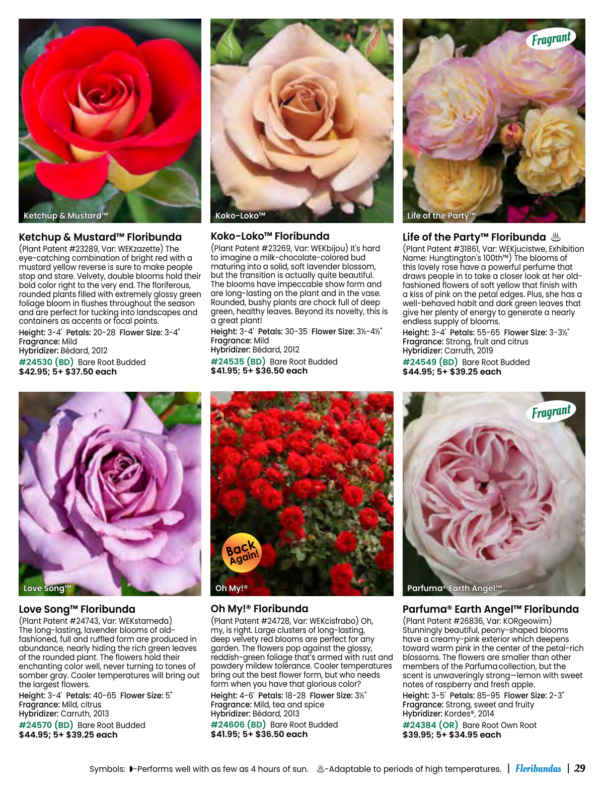 Flyer page 29