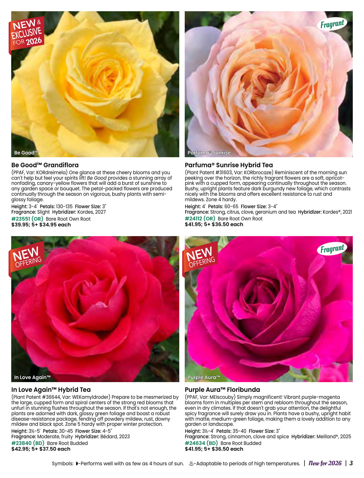 Flyer page 3