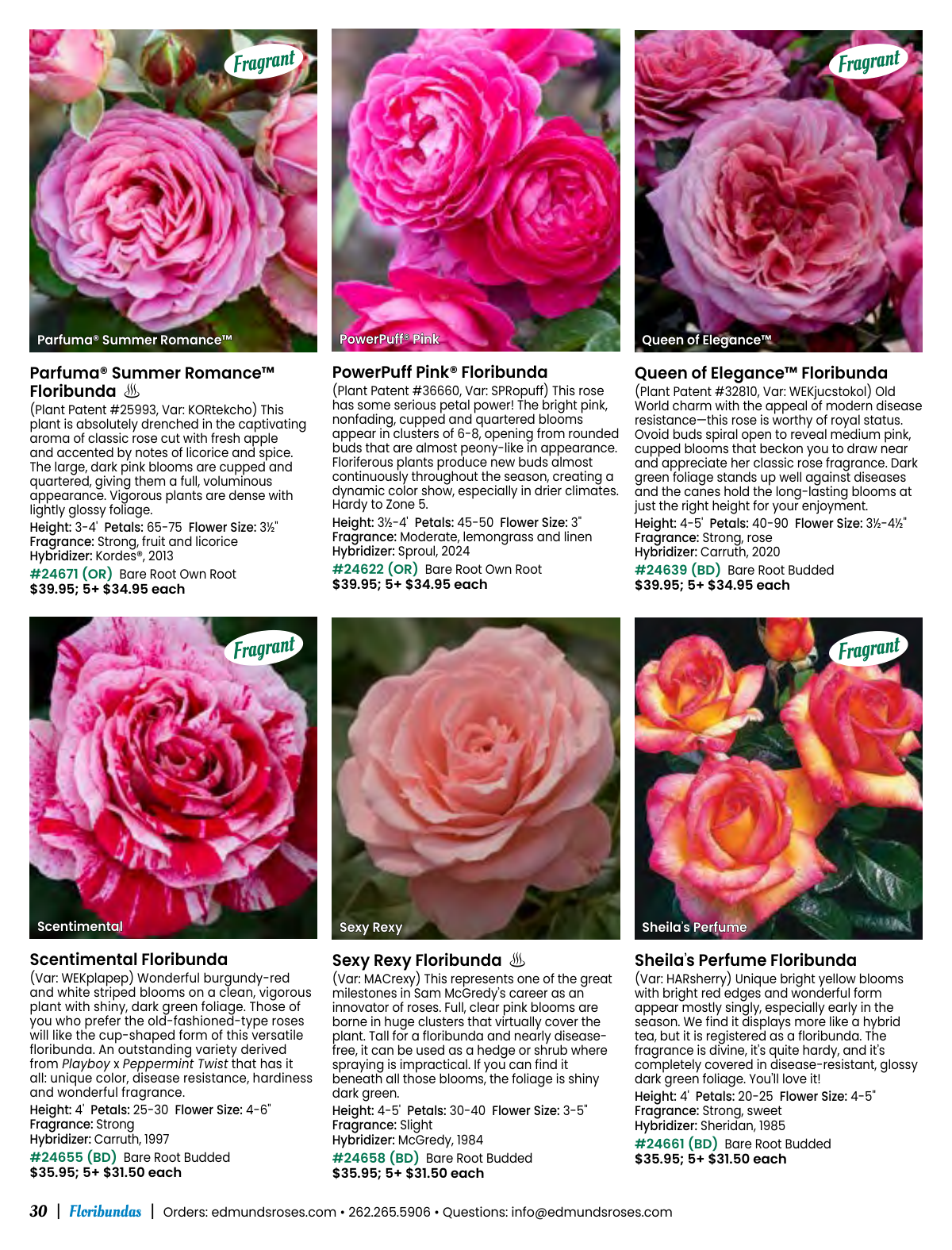 Flyer page 30