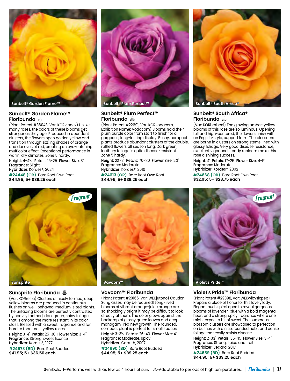 Flyer page 31