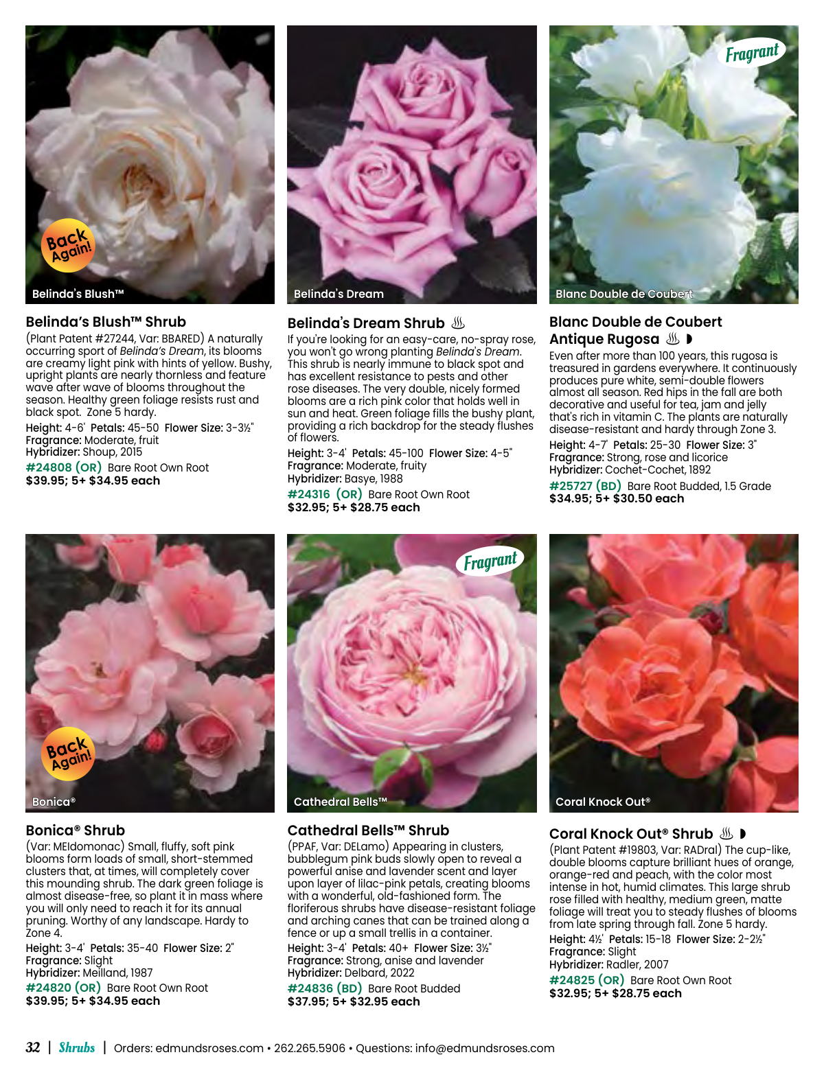 Flyer page 32