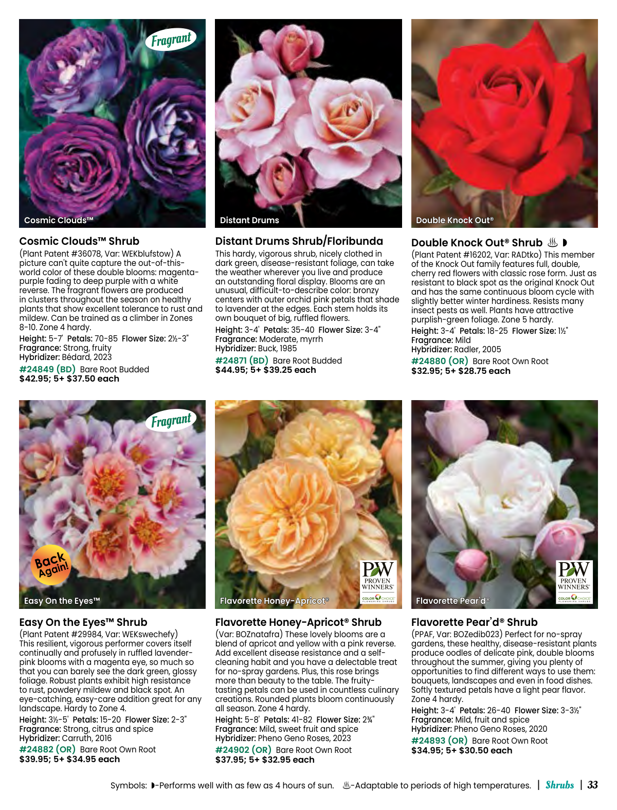 Flyer page 33
