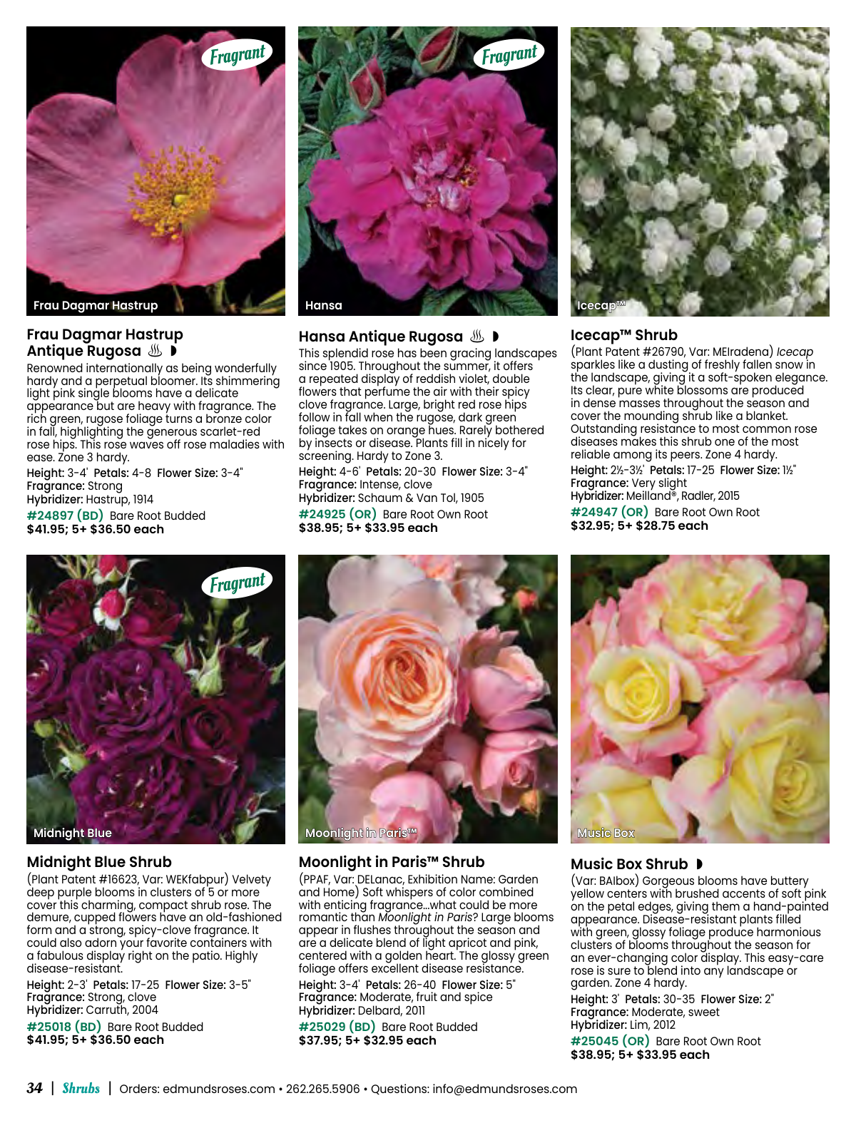 Flyer page 34