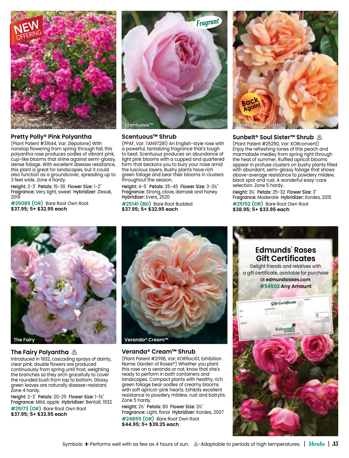 Flyer page 35