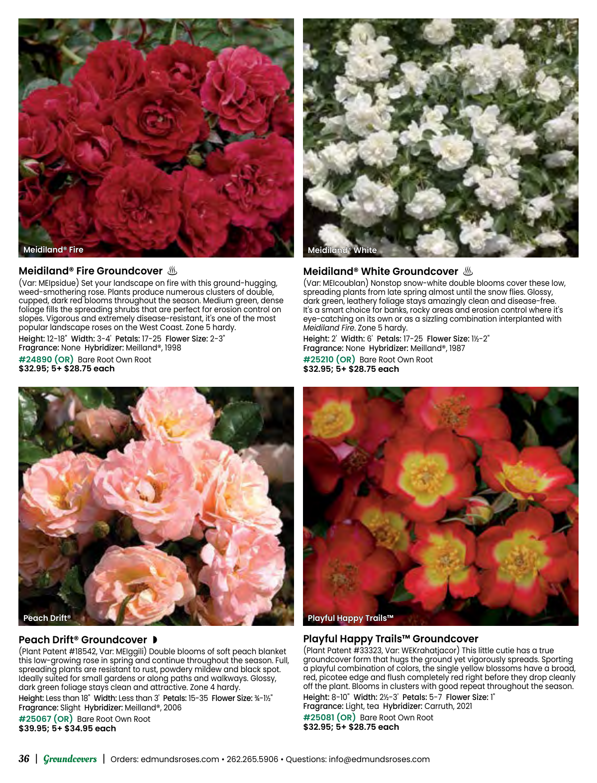 Flyer page 36