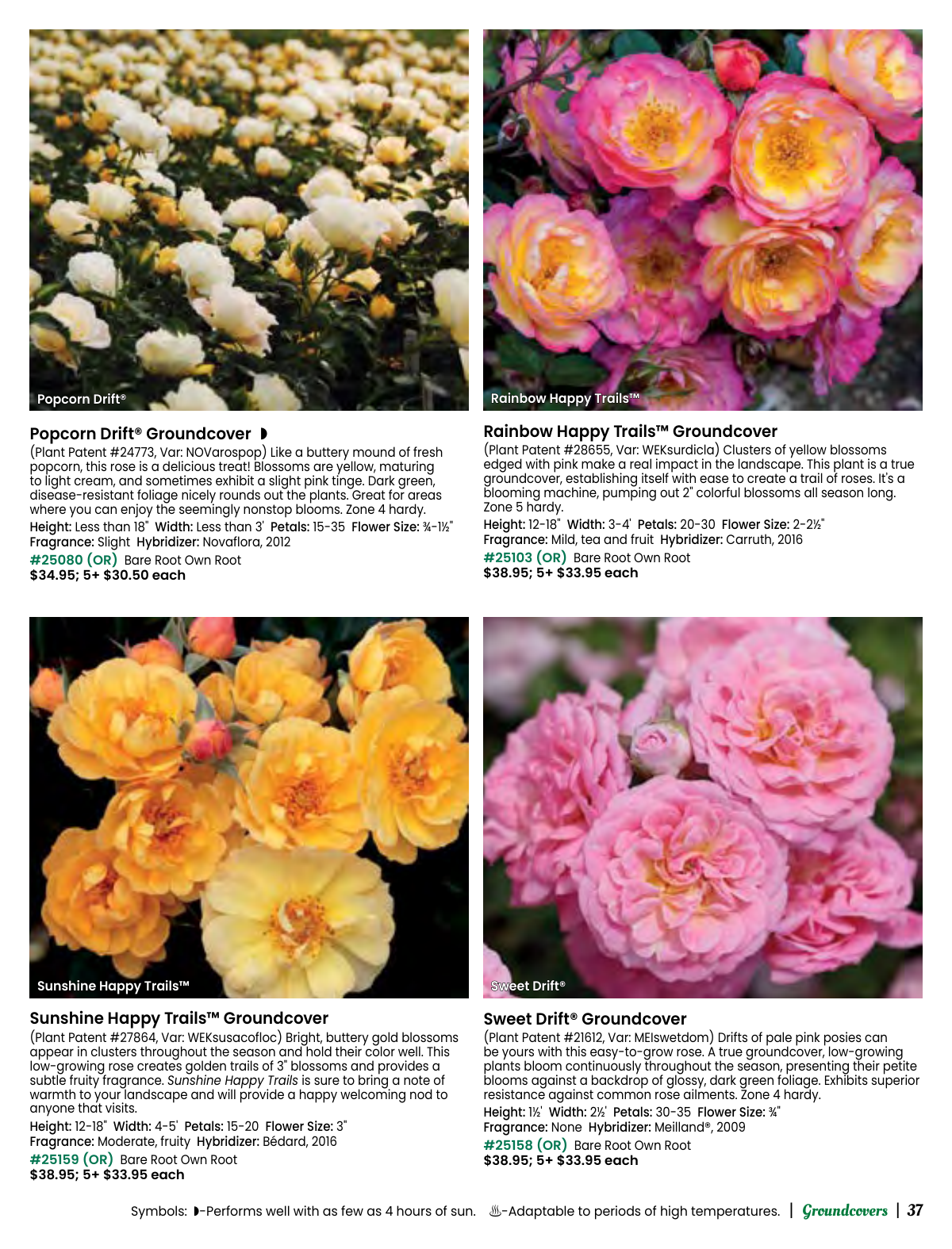 Flyer page 37