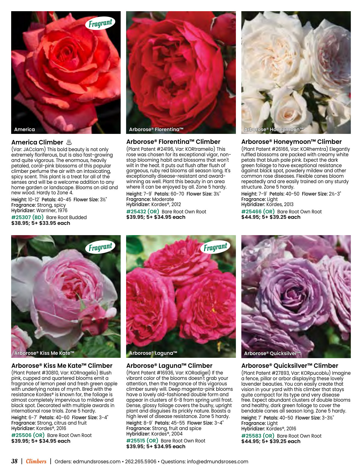 Flyer page 38