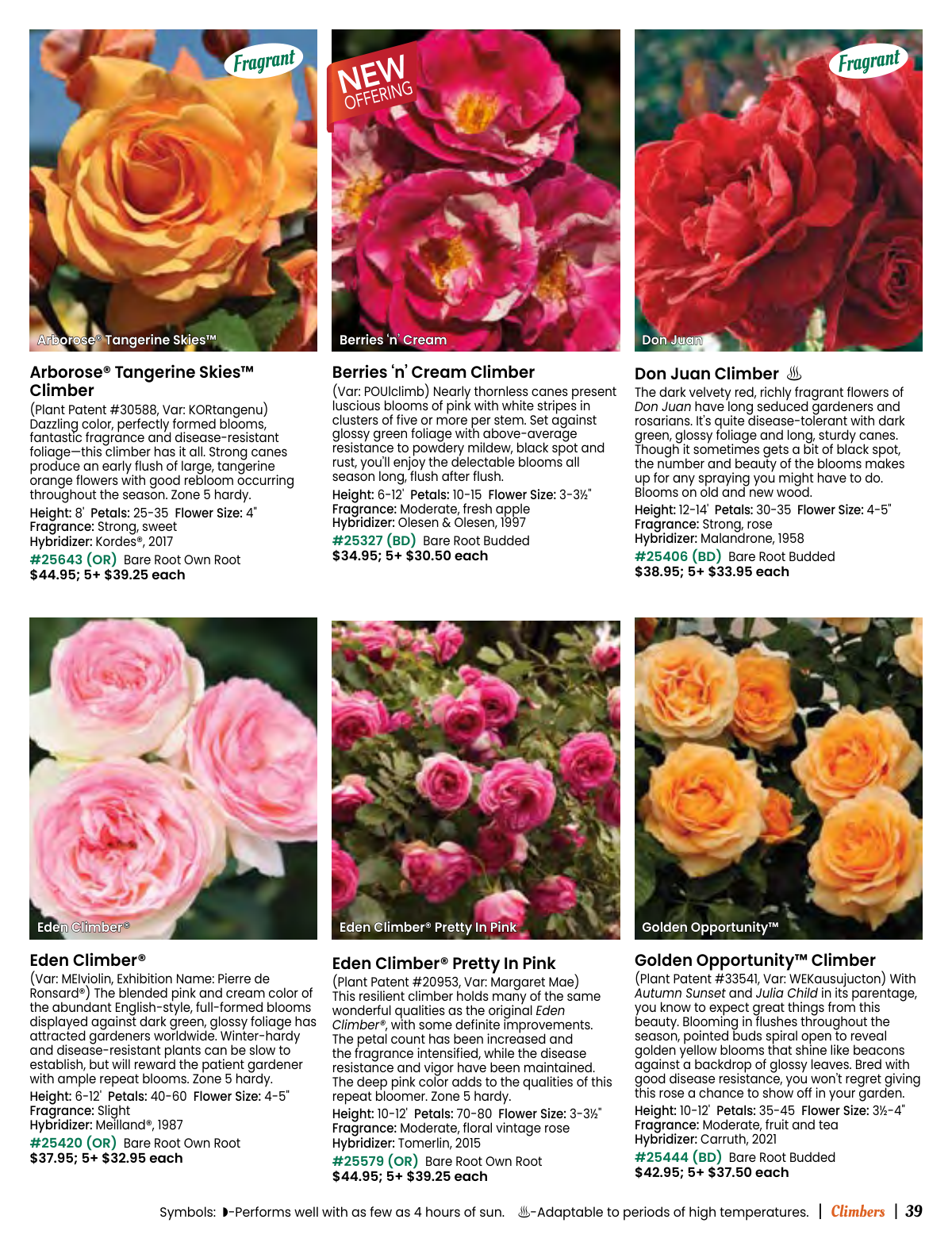 Flyer page 39