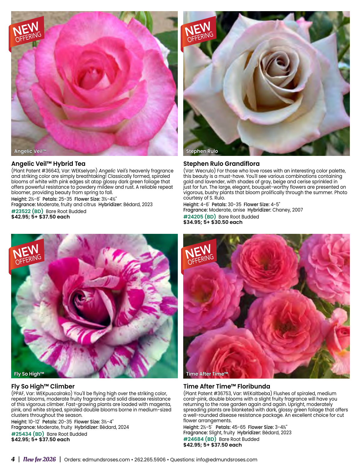 Flyer page 4