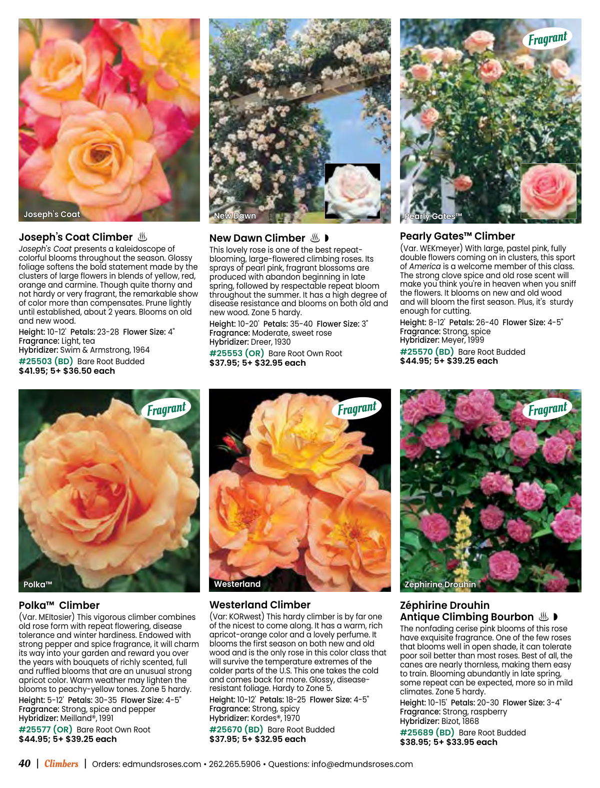 Flyer page 40