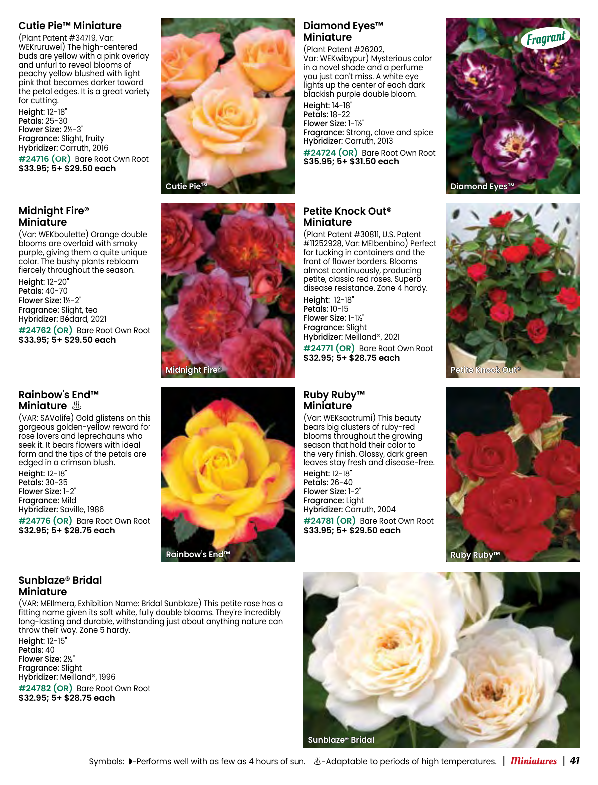 Flyer page 41