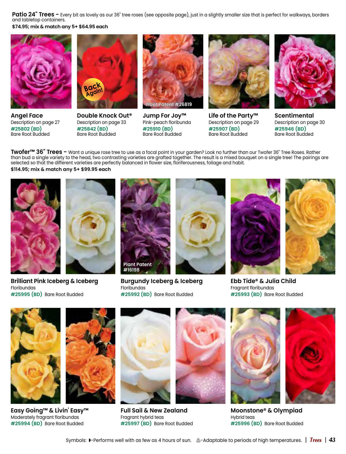 Flyer page 43