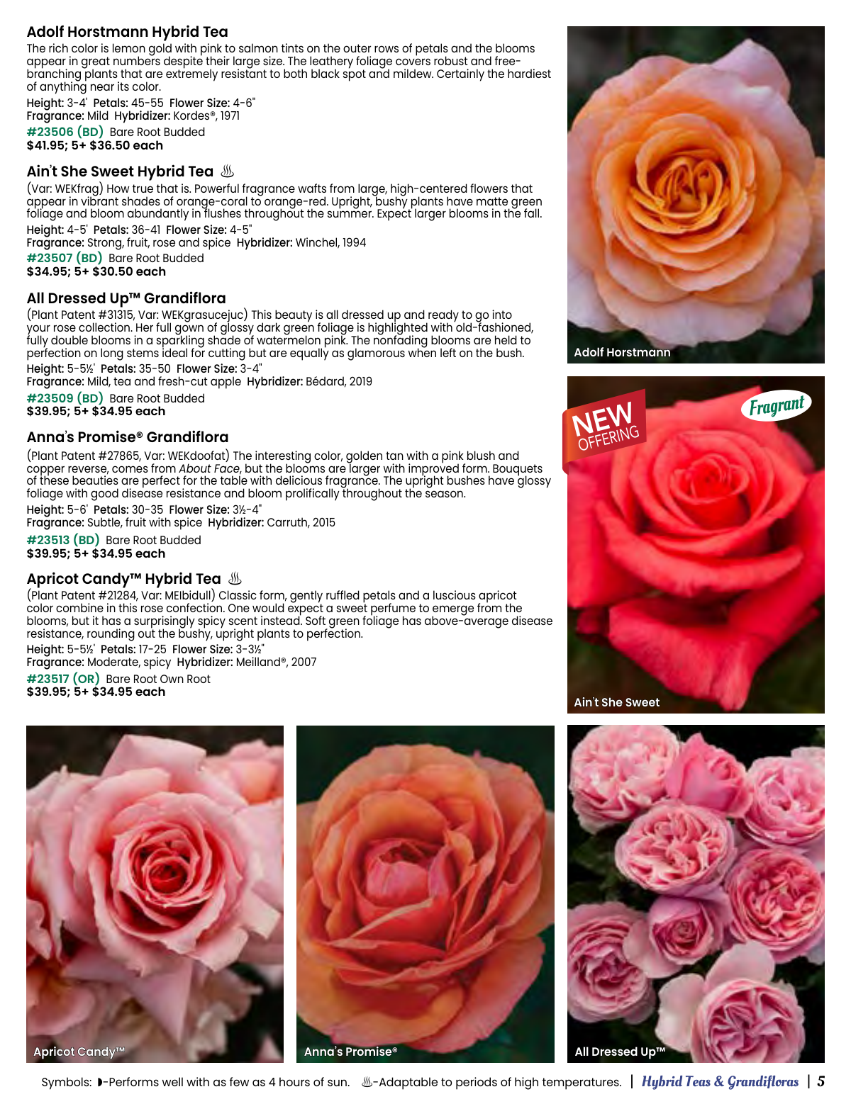 Flyer page 5