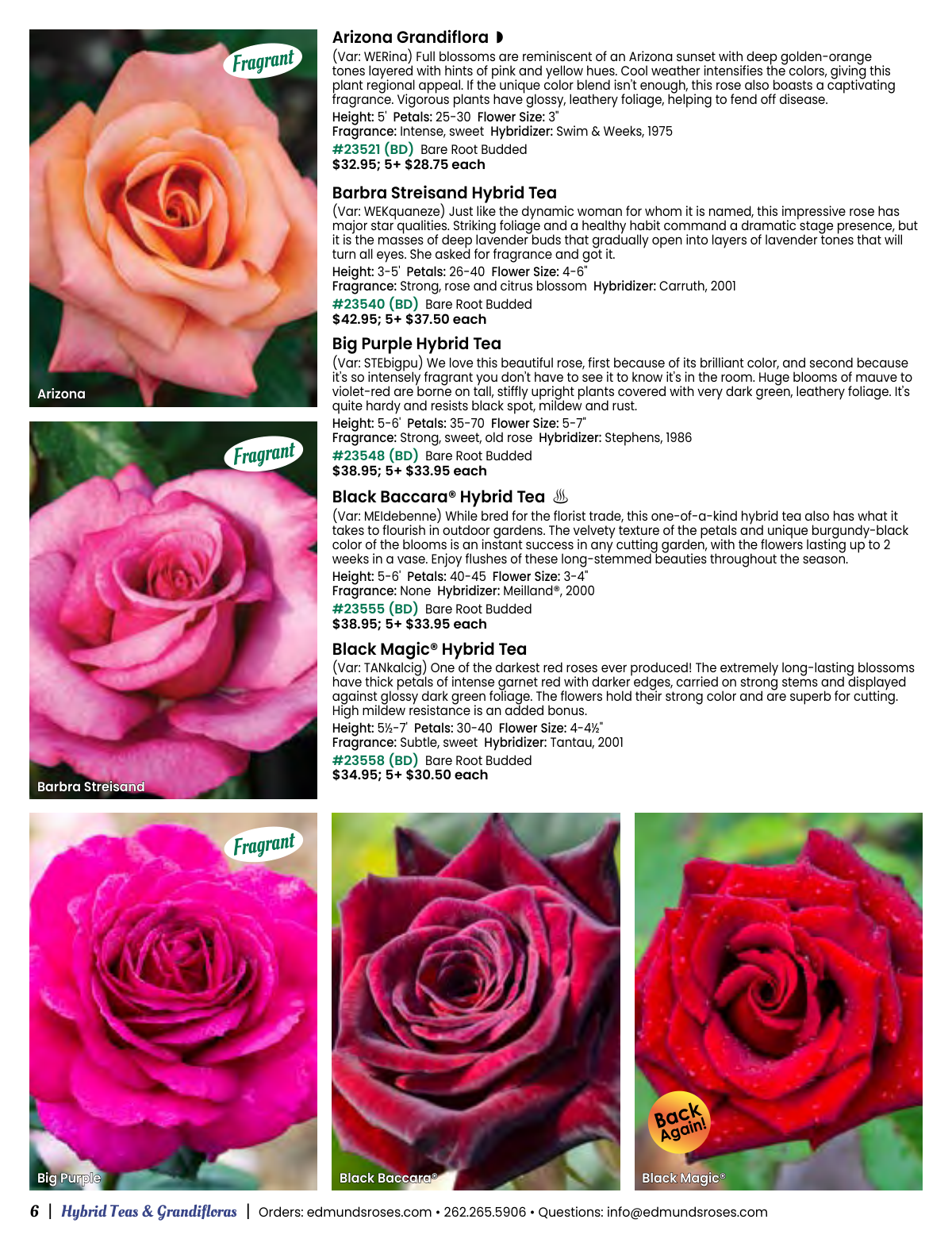 Flyer page 6