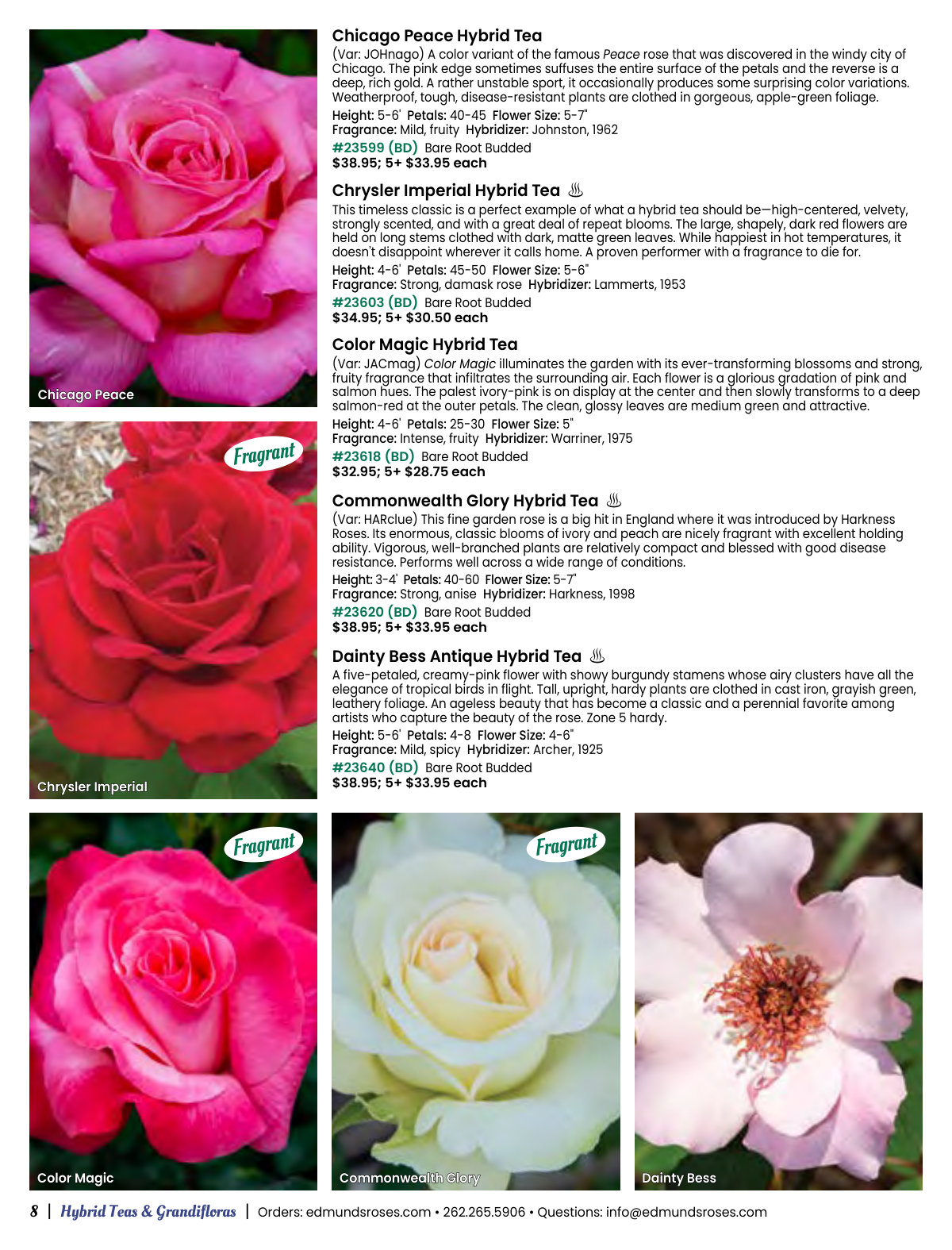 Flyer page 8