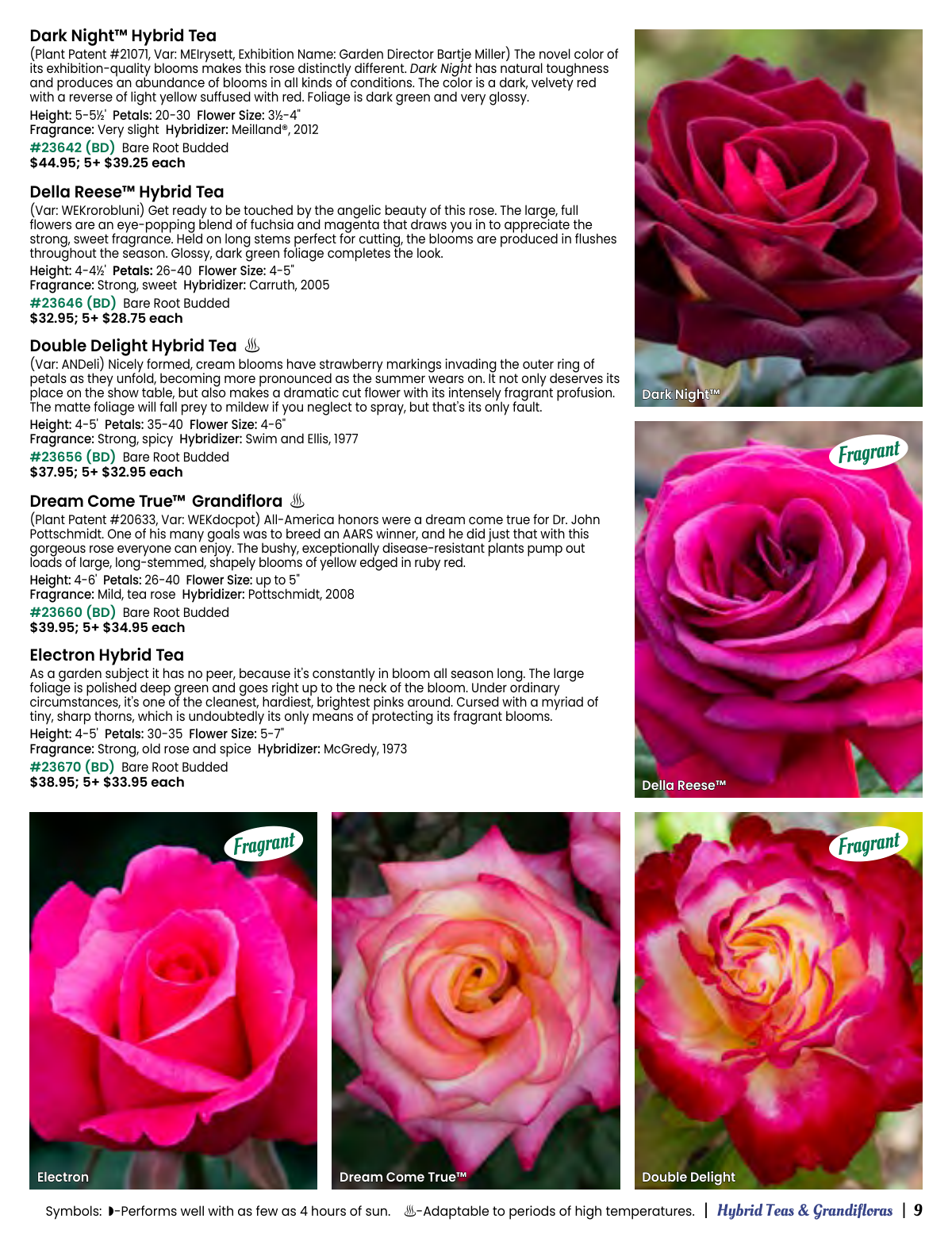 Flyer page 9