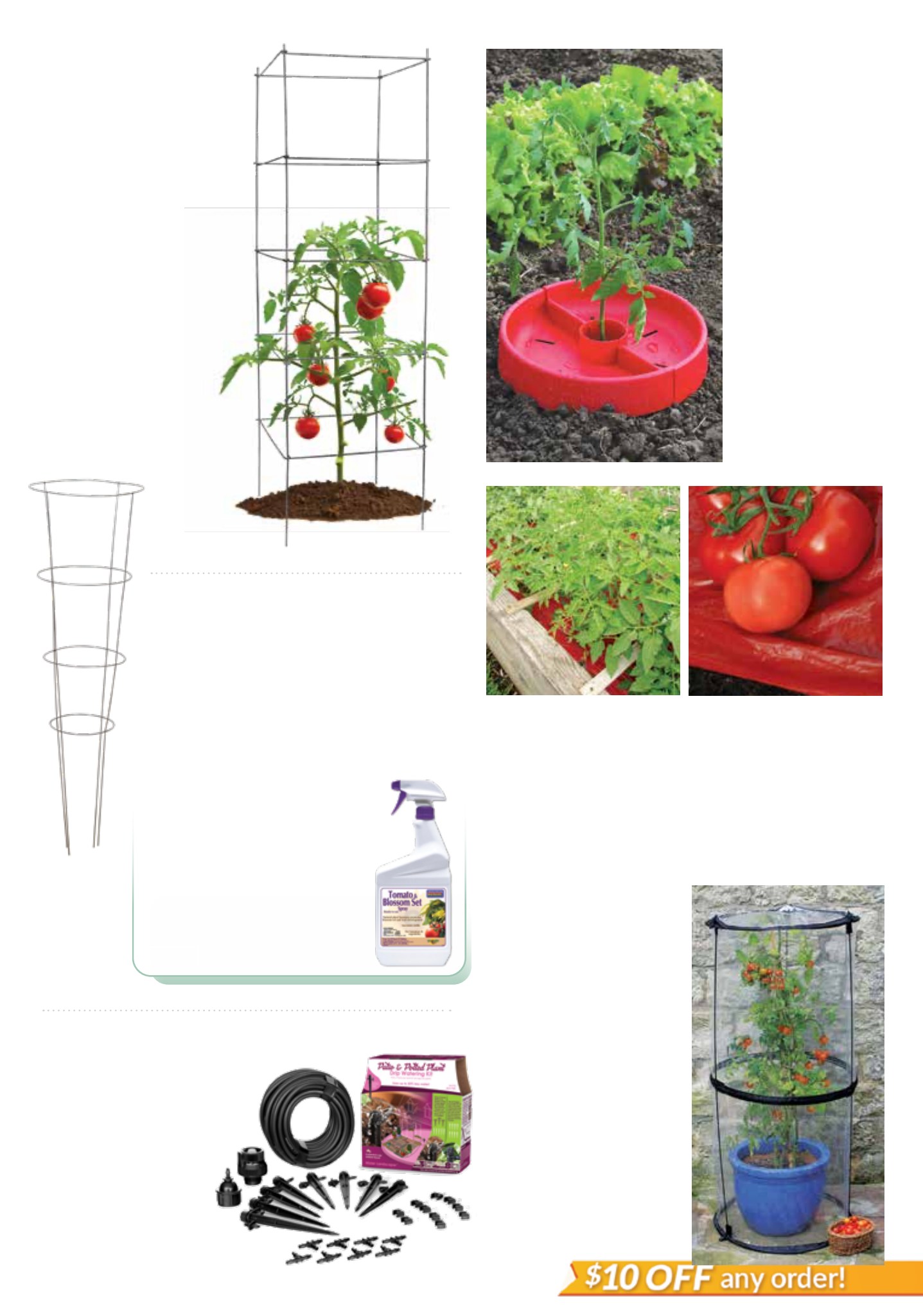 Flyer page 21