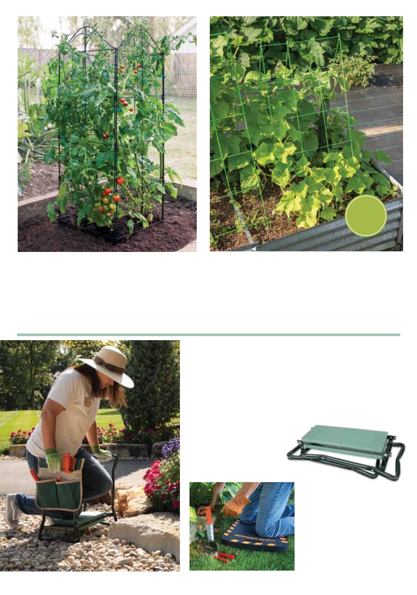 Flyer page 22