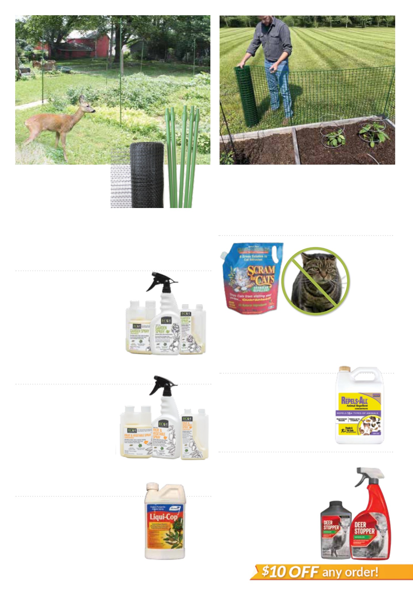 Flyer page 27
