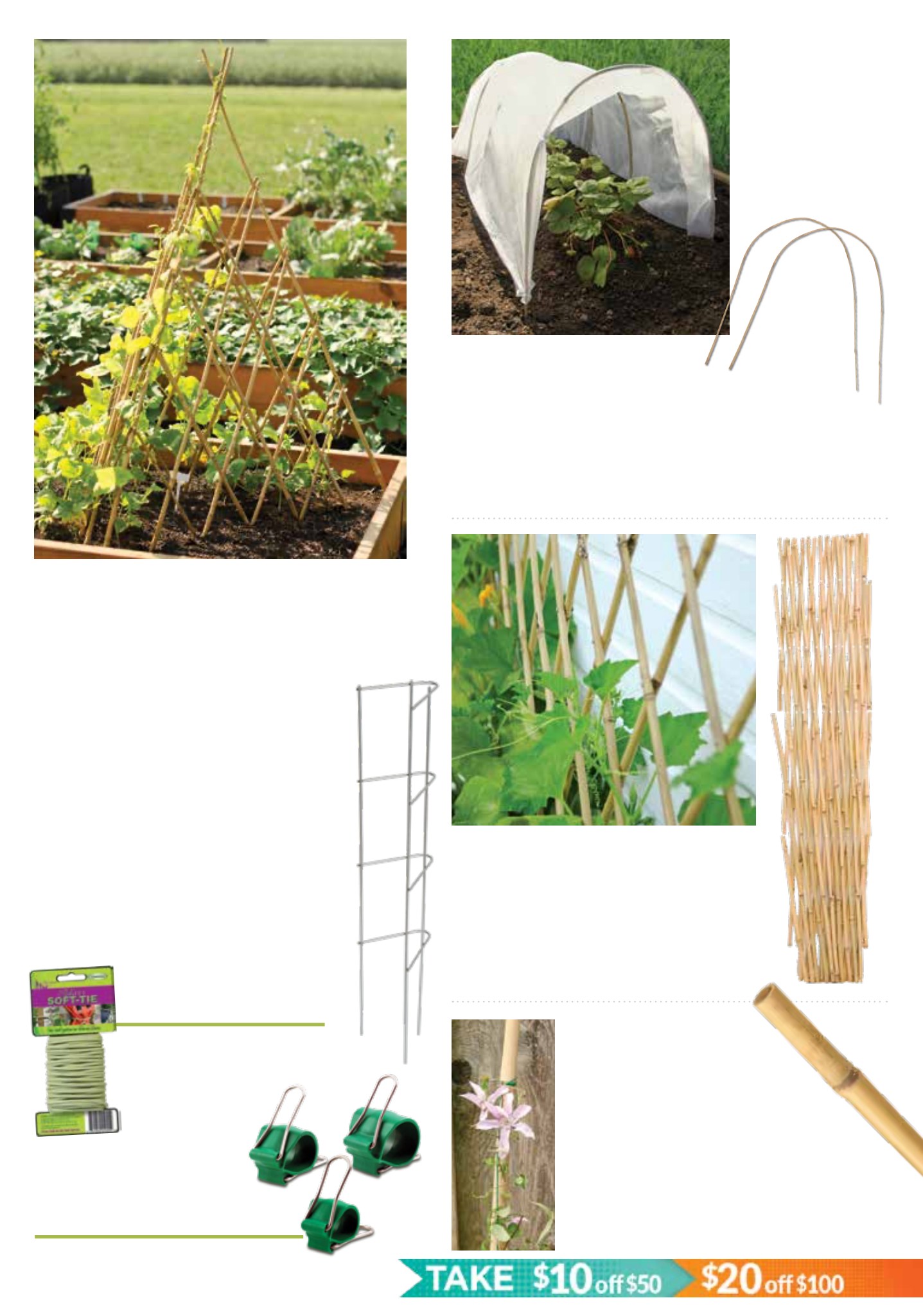 Flyer page 11