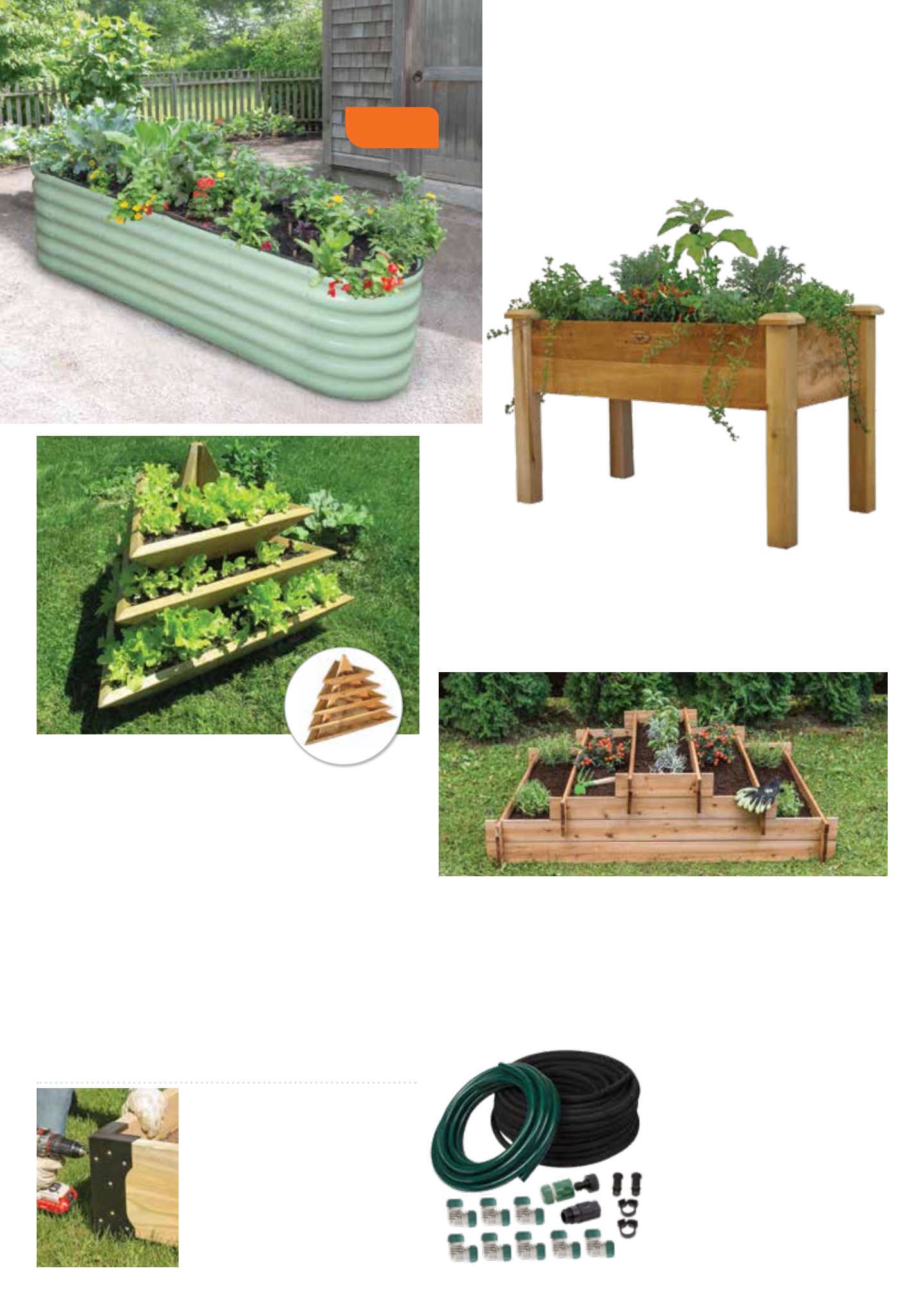 Flyer page 12