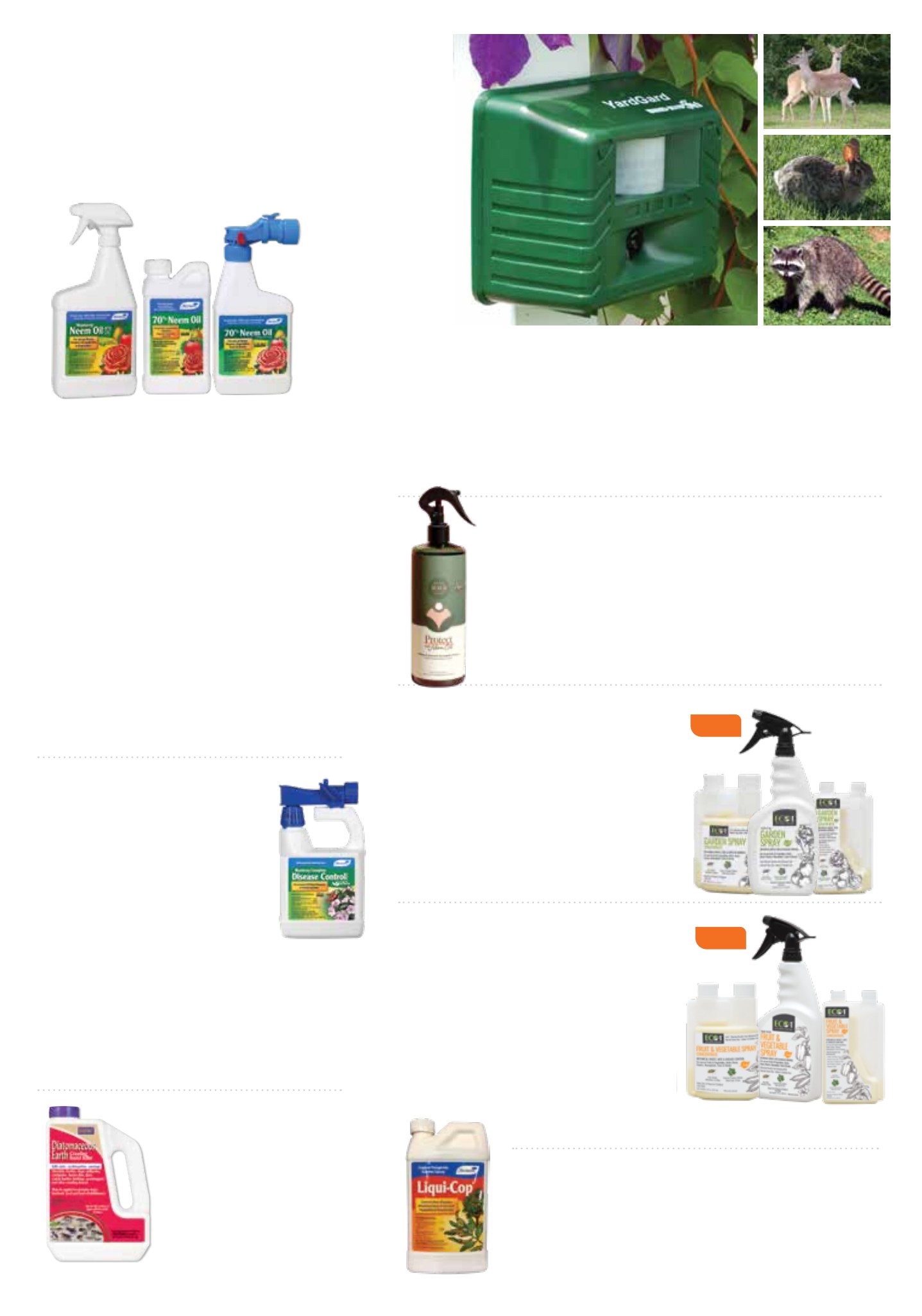 Flyer page 30
