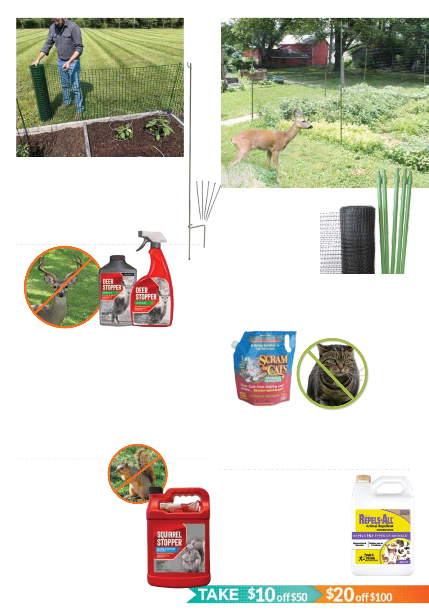 Flyer page 31