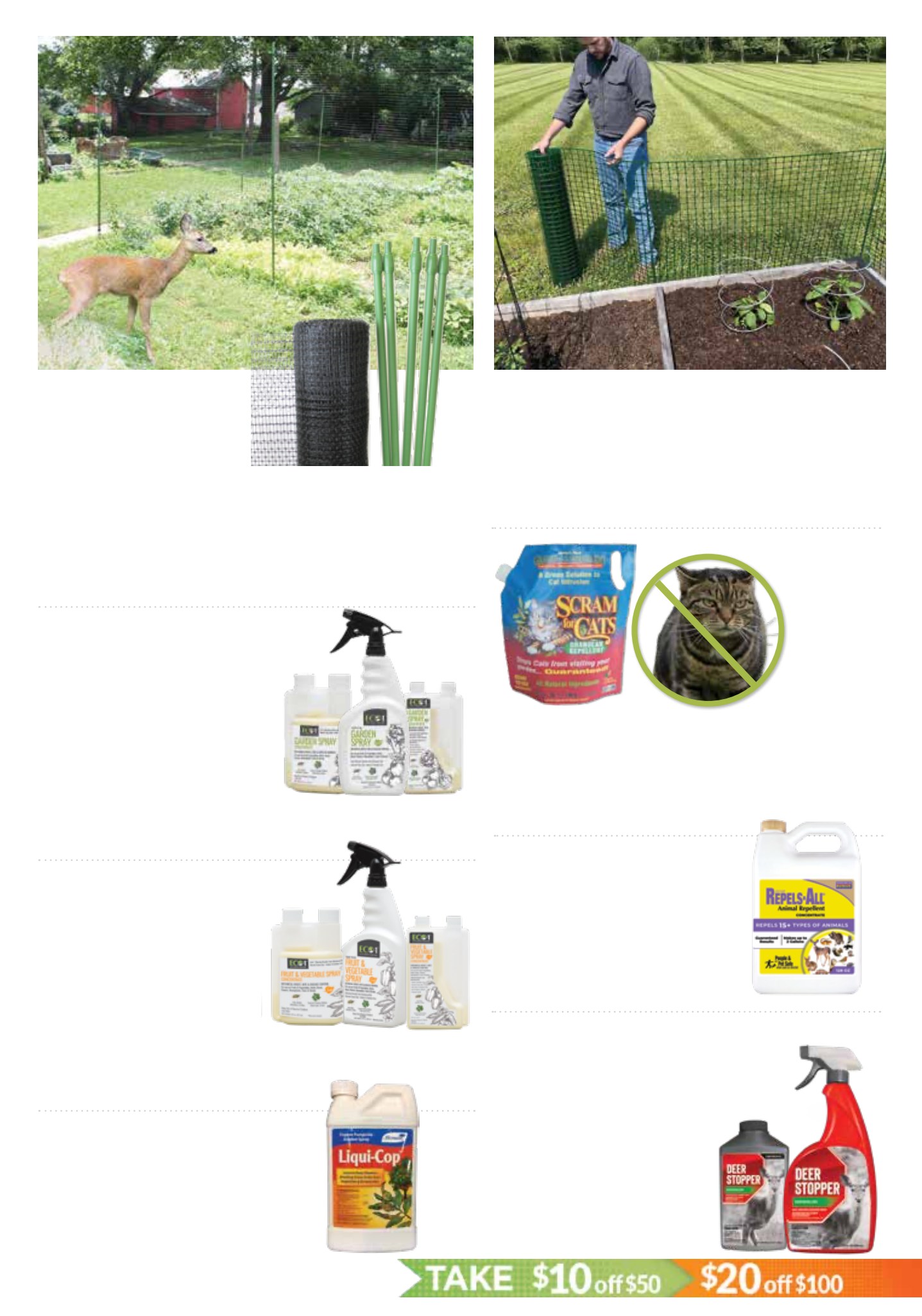 Flyer page 19