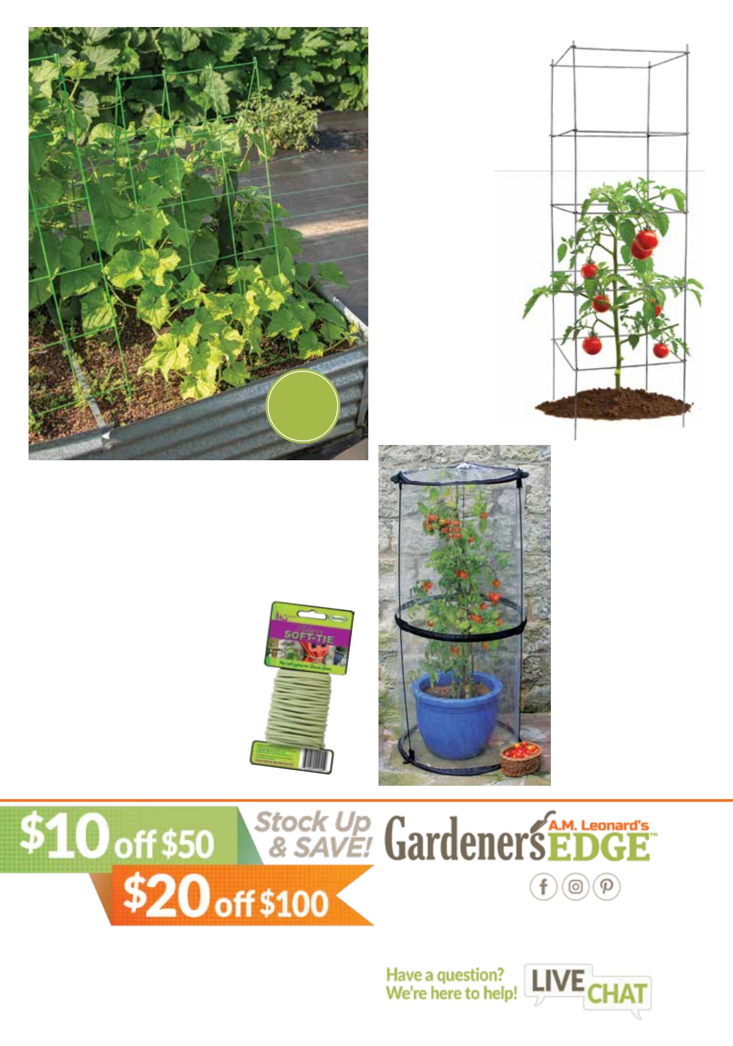 Flyer page 2