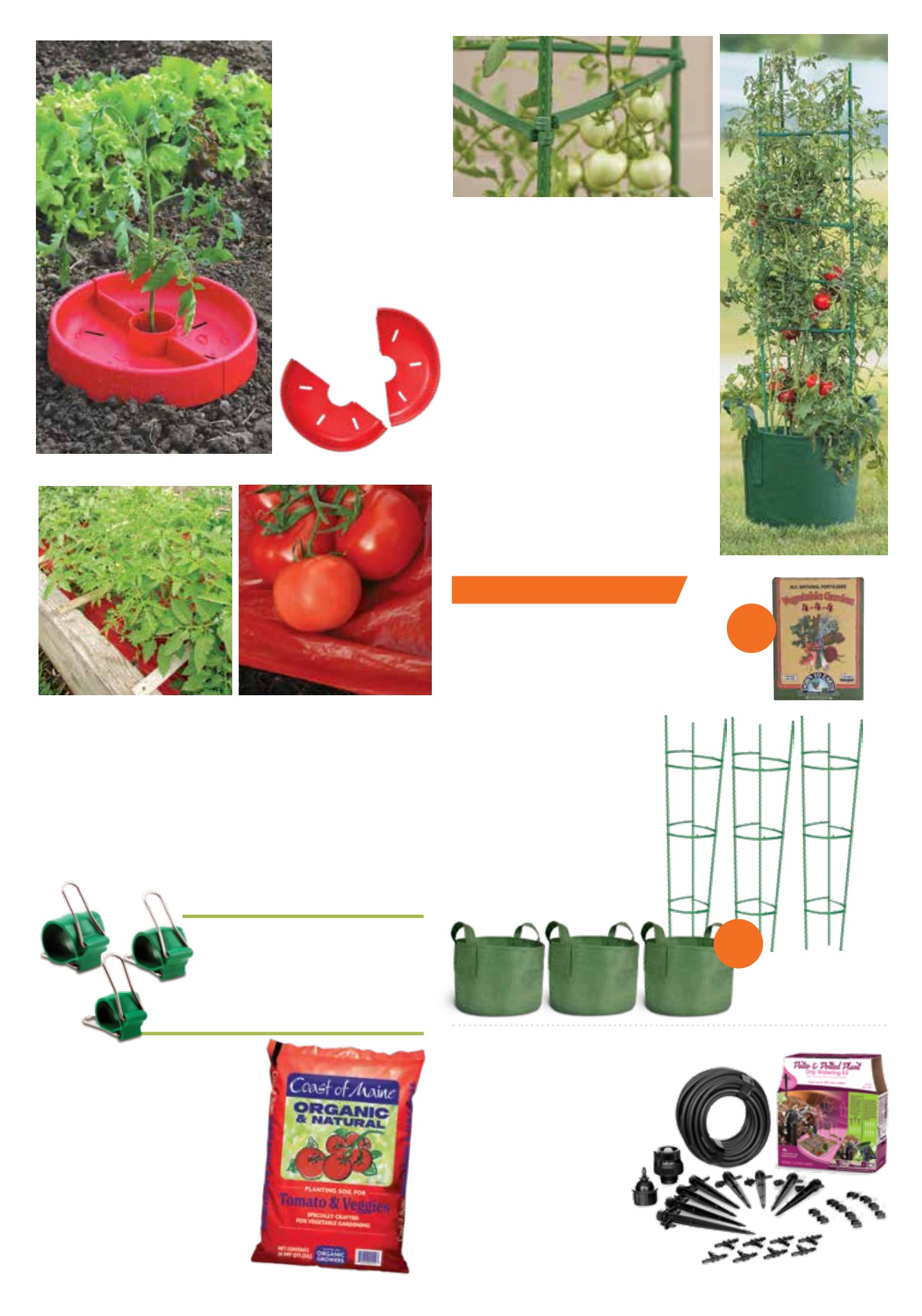 Flyer page 3