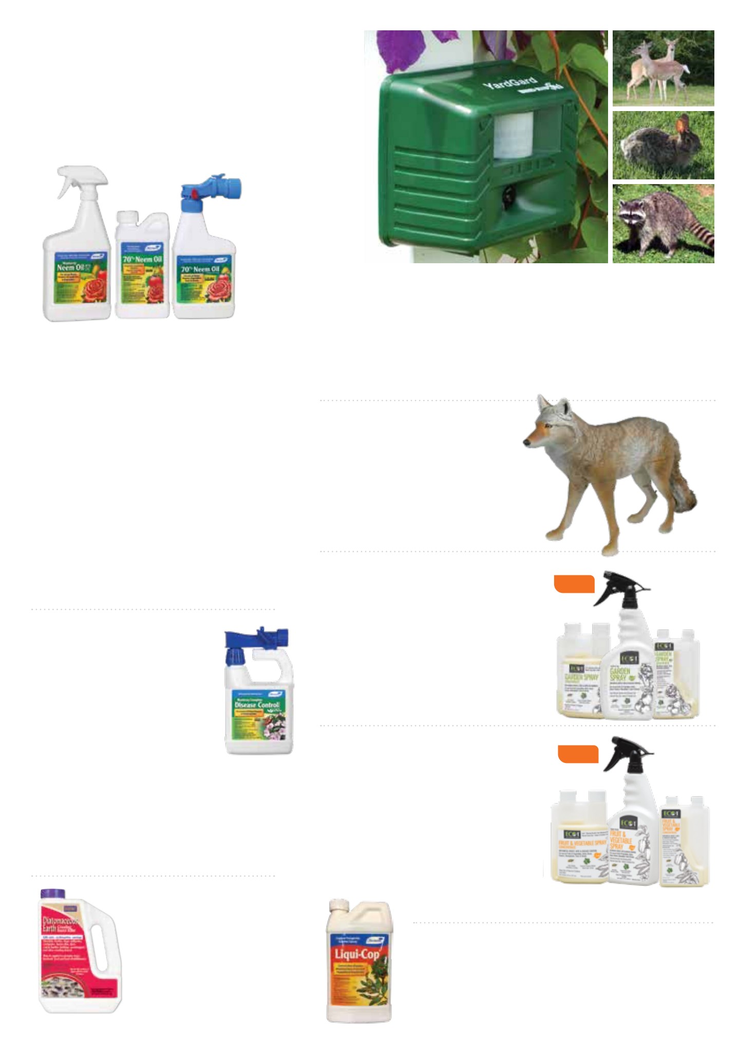 Flyer page 34